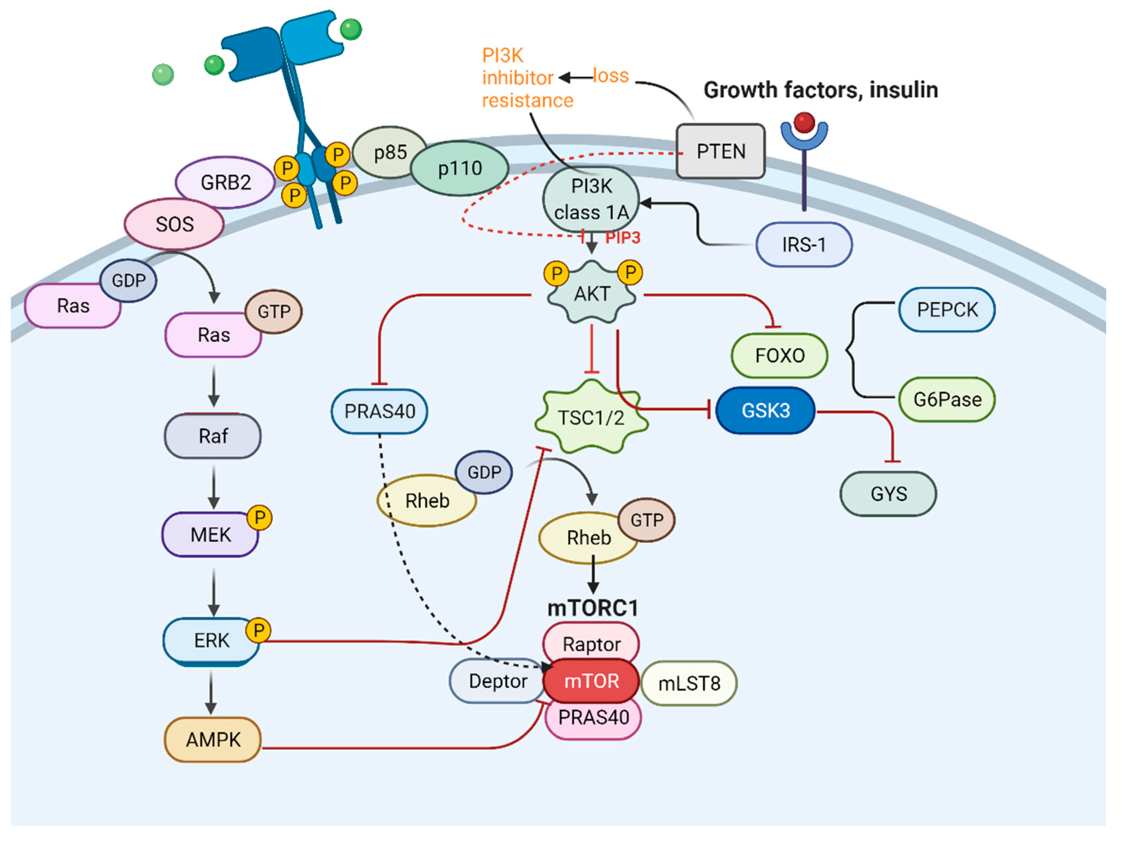 Cancers 15 02709 g006 Cancers 15 02709 g006
