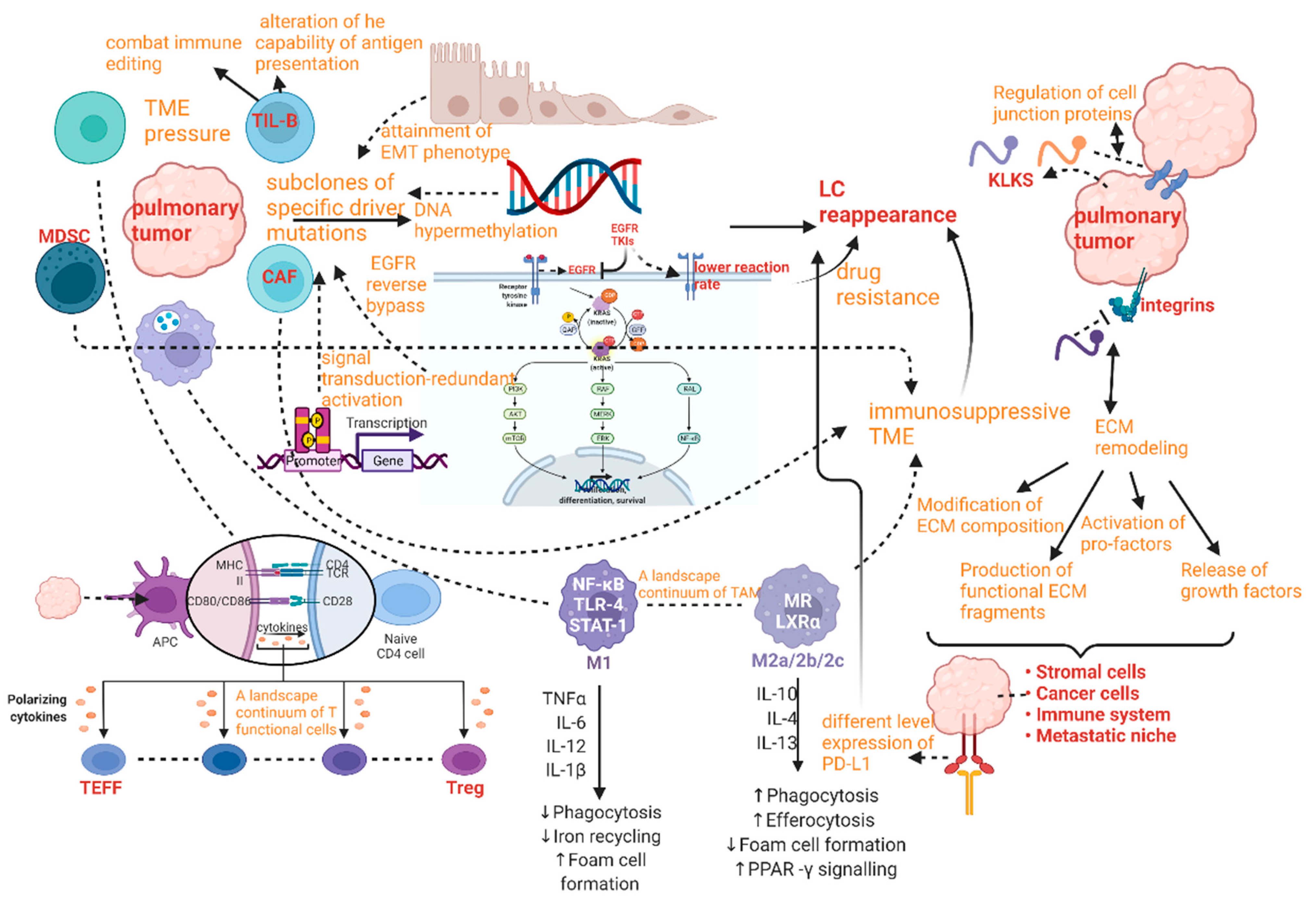 Cancers 15 02709 g007 Cancers 15 02709 g007