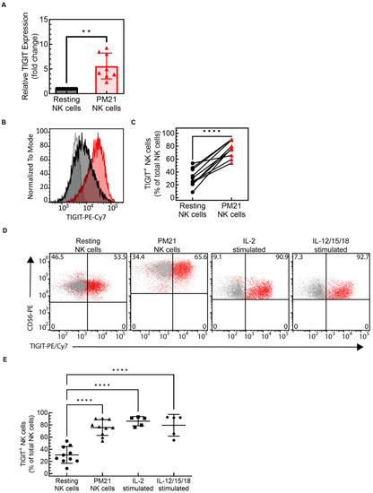 NK9点 Motorcycle Parts for 1988 Kawasaki Ninja ZX10 for sale | eBay
