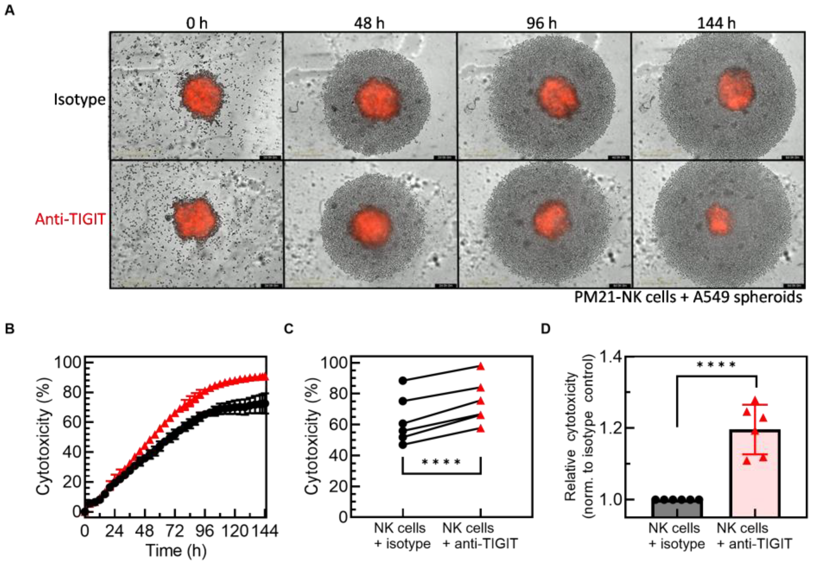 Cancers 15 02712 g004