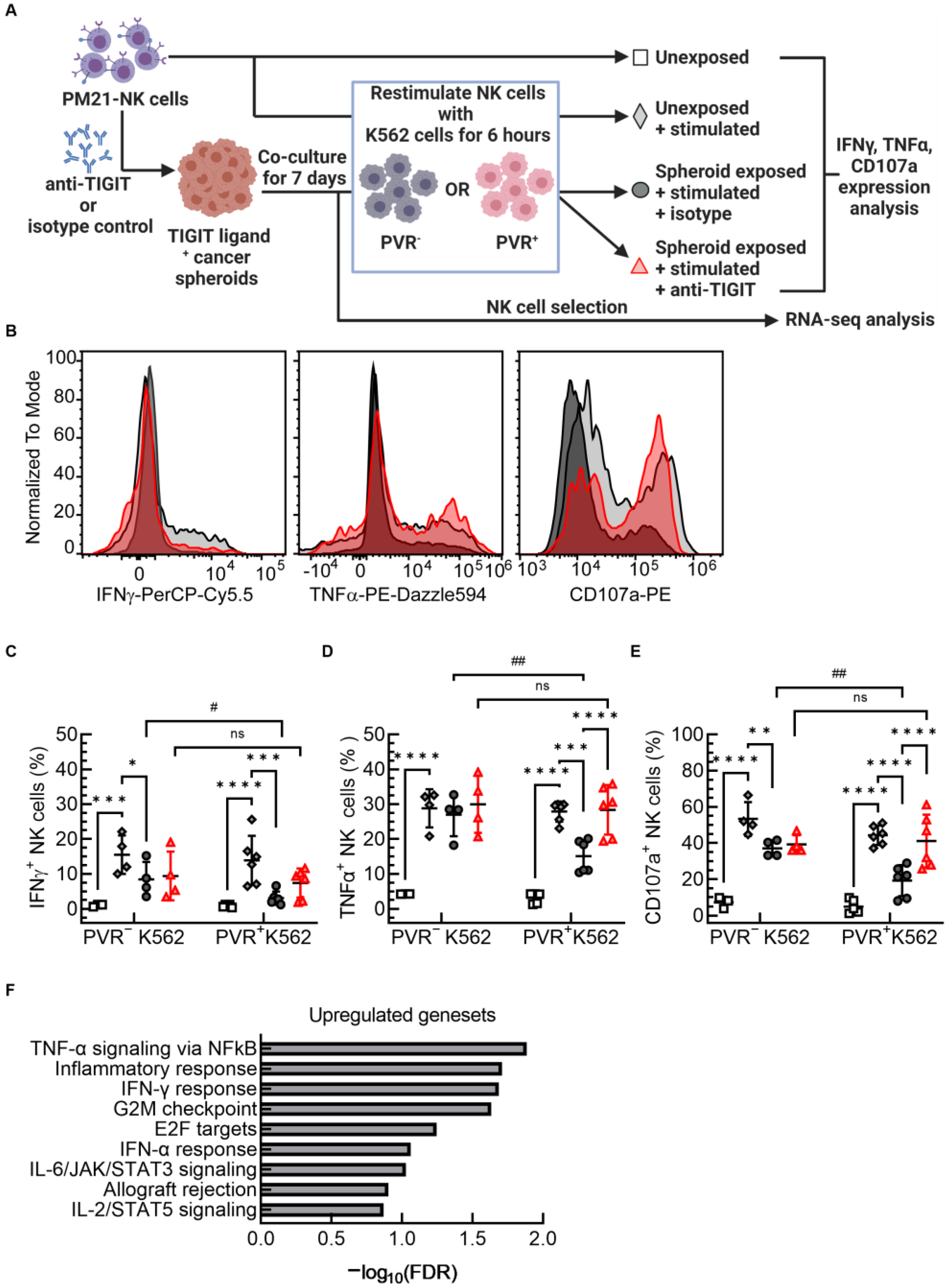 Cancers 15 02712 g006