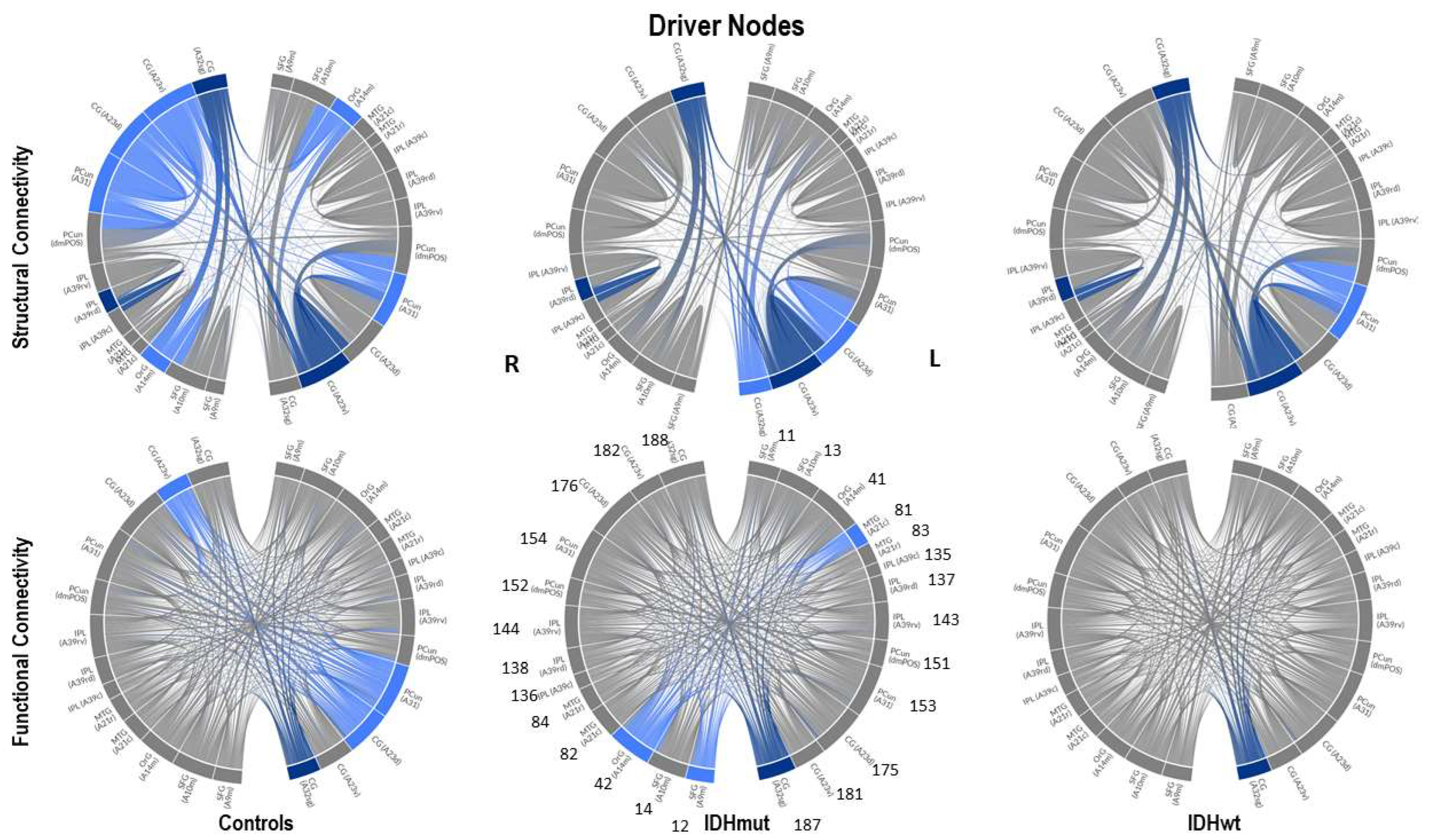 Cancers 15 02714 g005