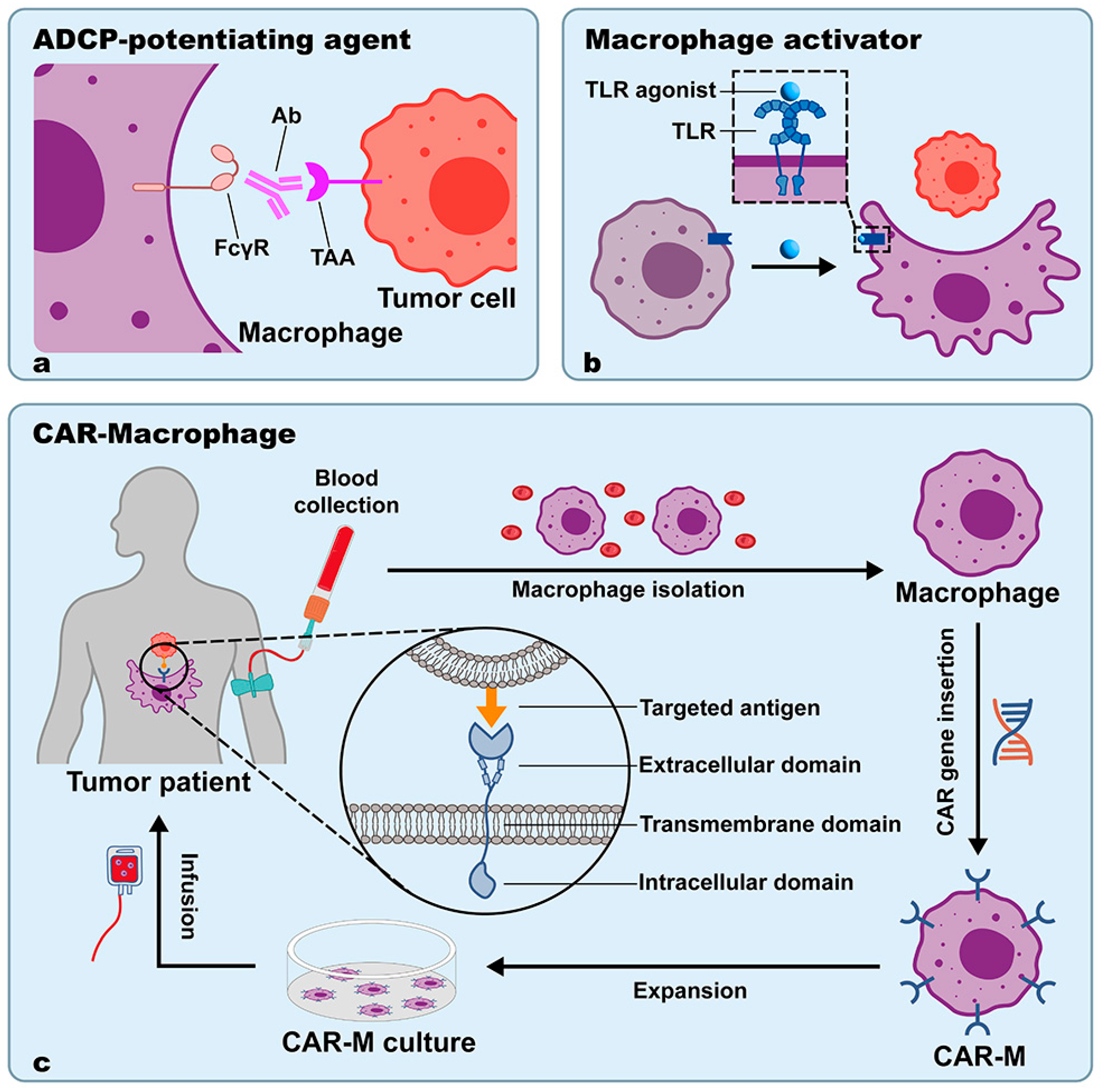 Cancers 15 02717 g004