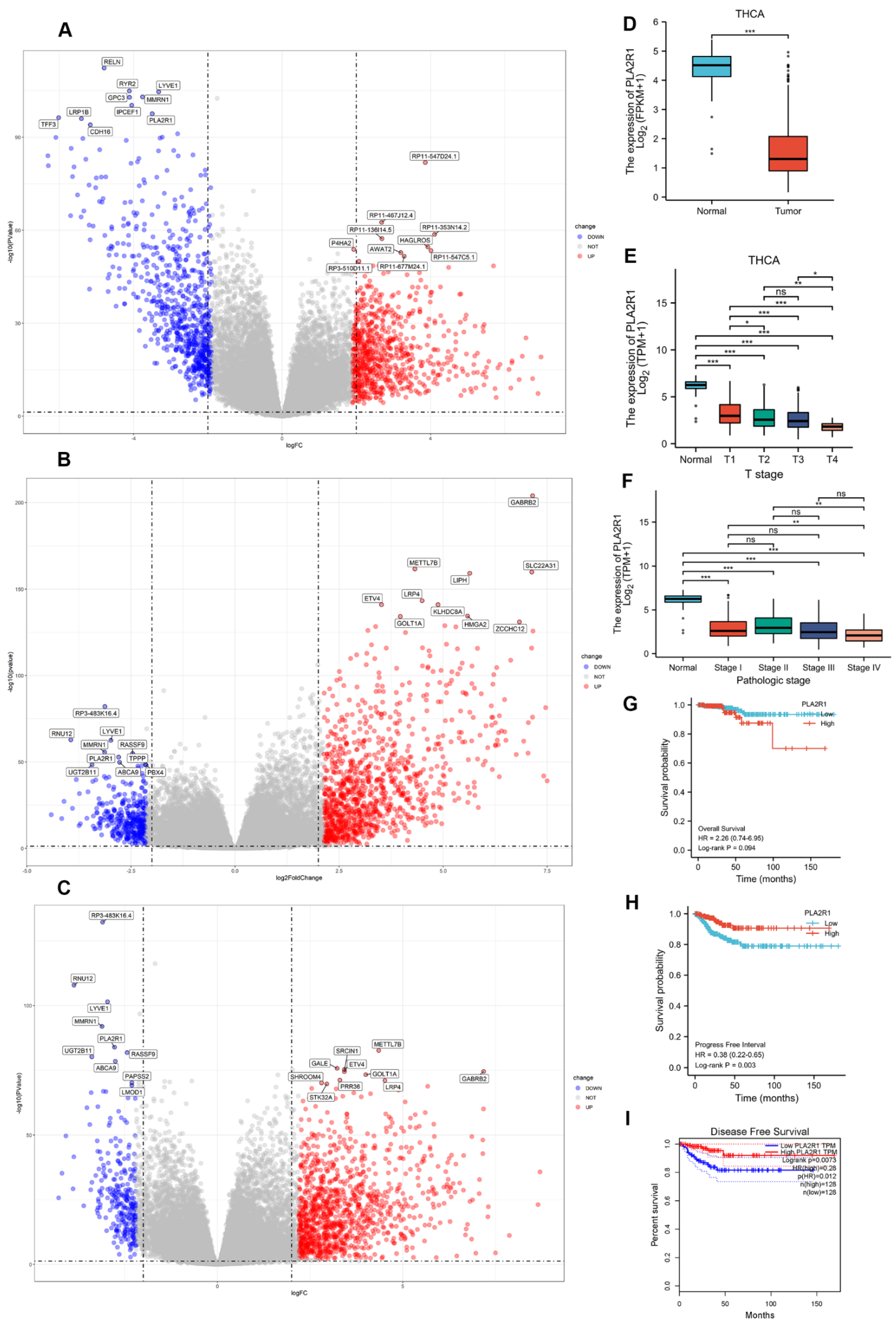 Cancers 15 02720 g001