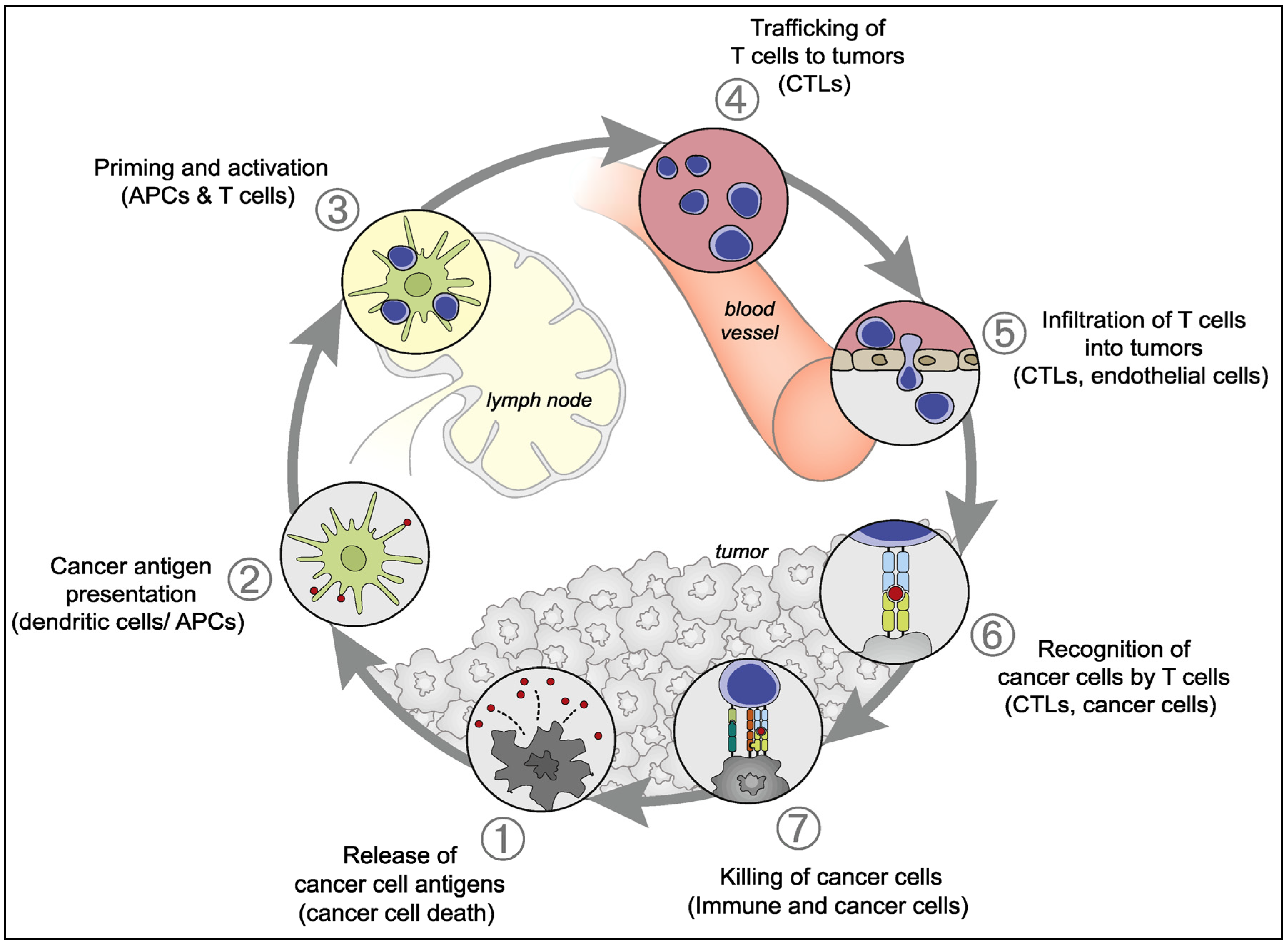 Cancers 15 02721 g003 Cancers 15 02721 g003