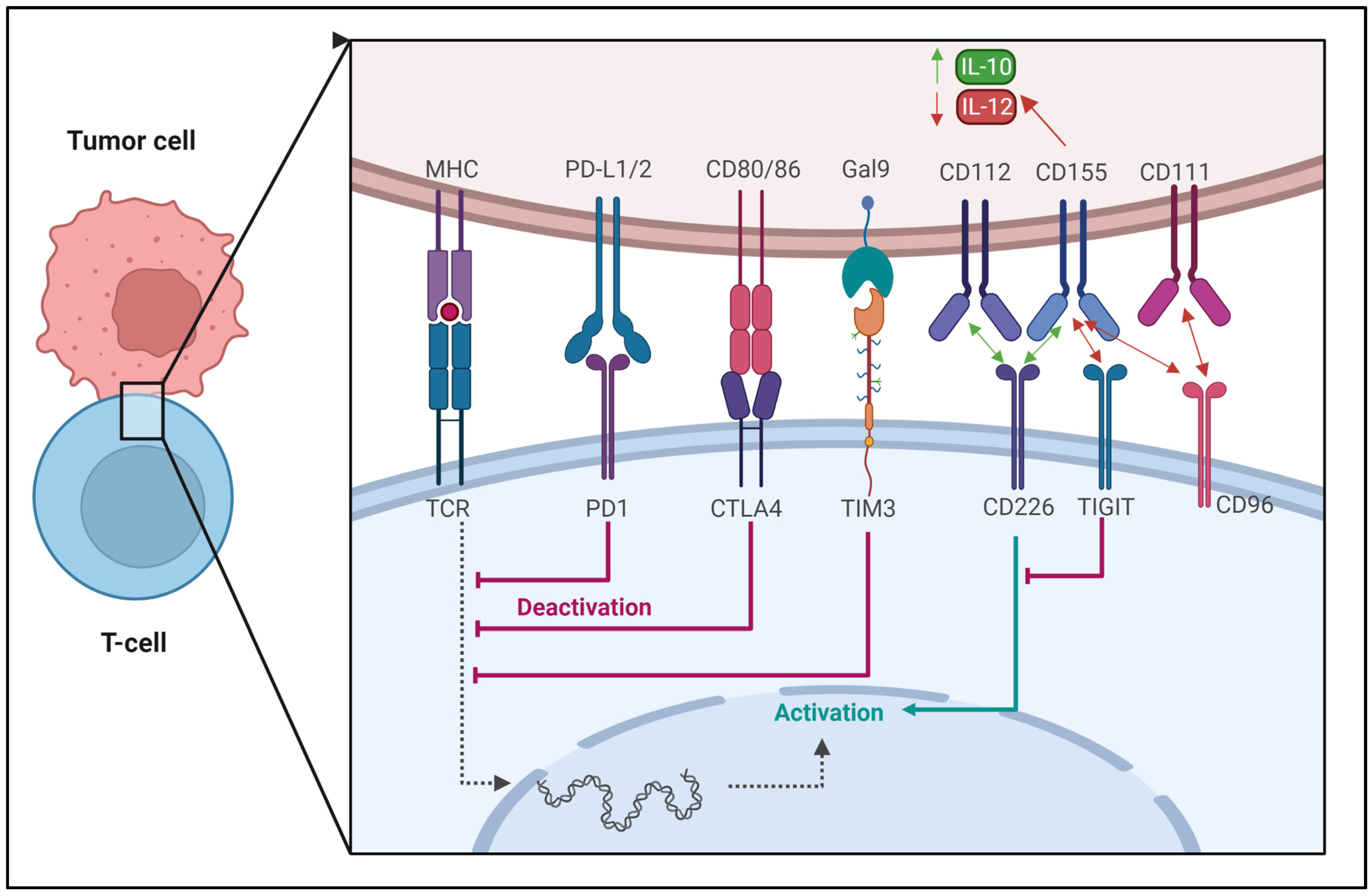 Cancers 15 02721 g005 Cancers 15 02721 g005