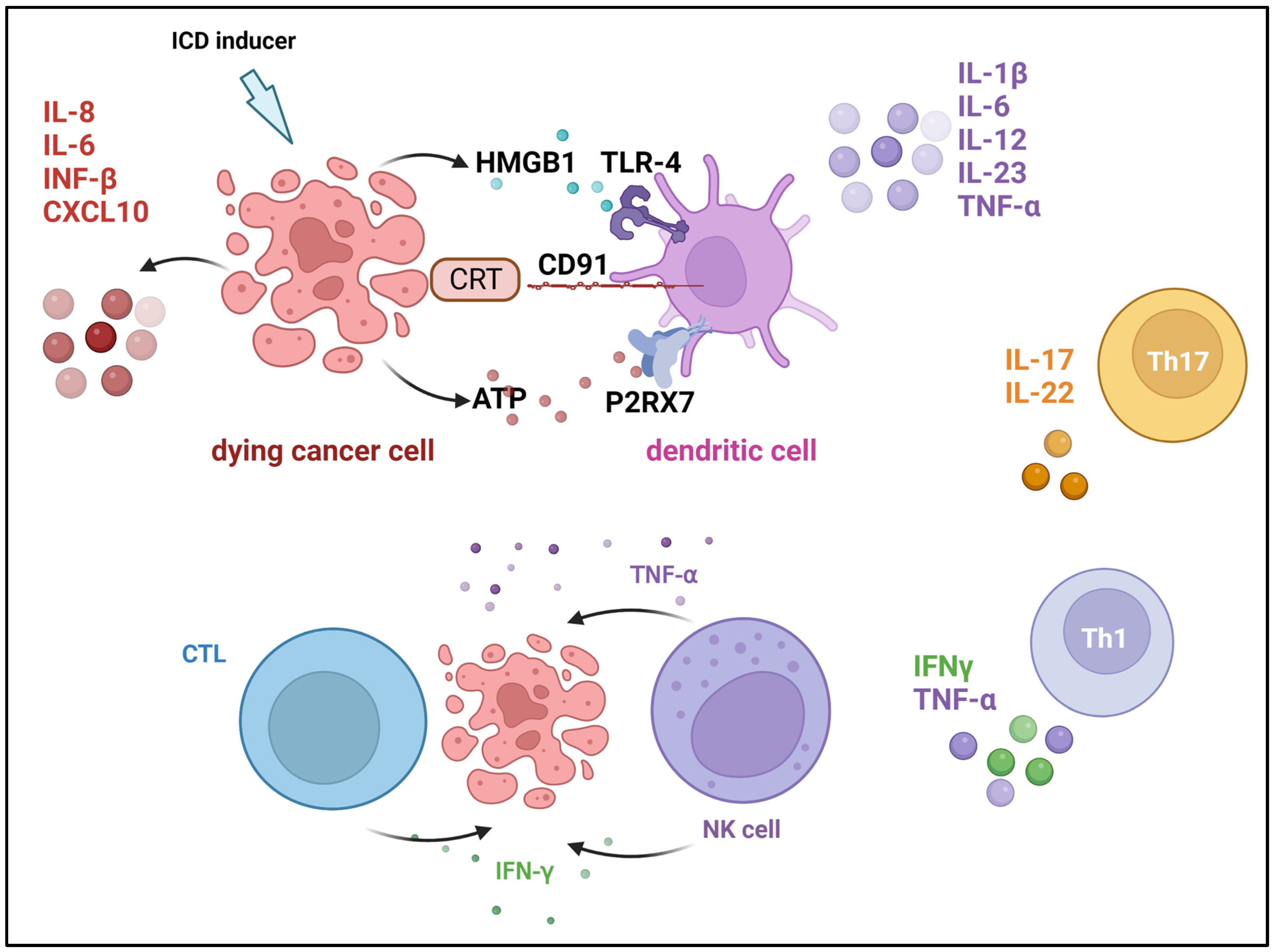 Cancers 15 02721 g010 Cancers 15 02721 g010