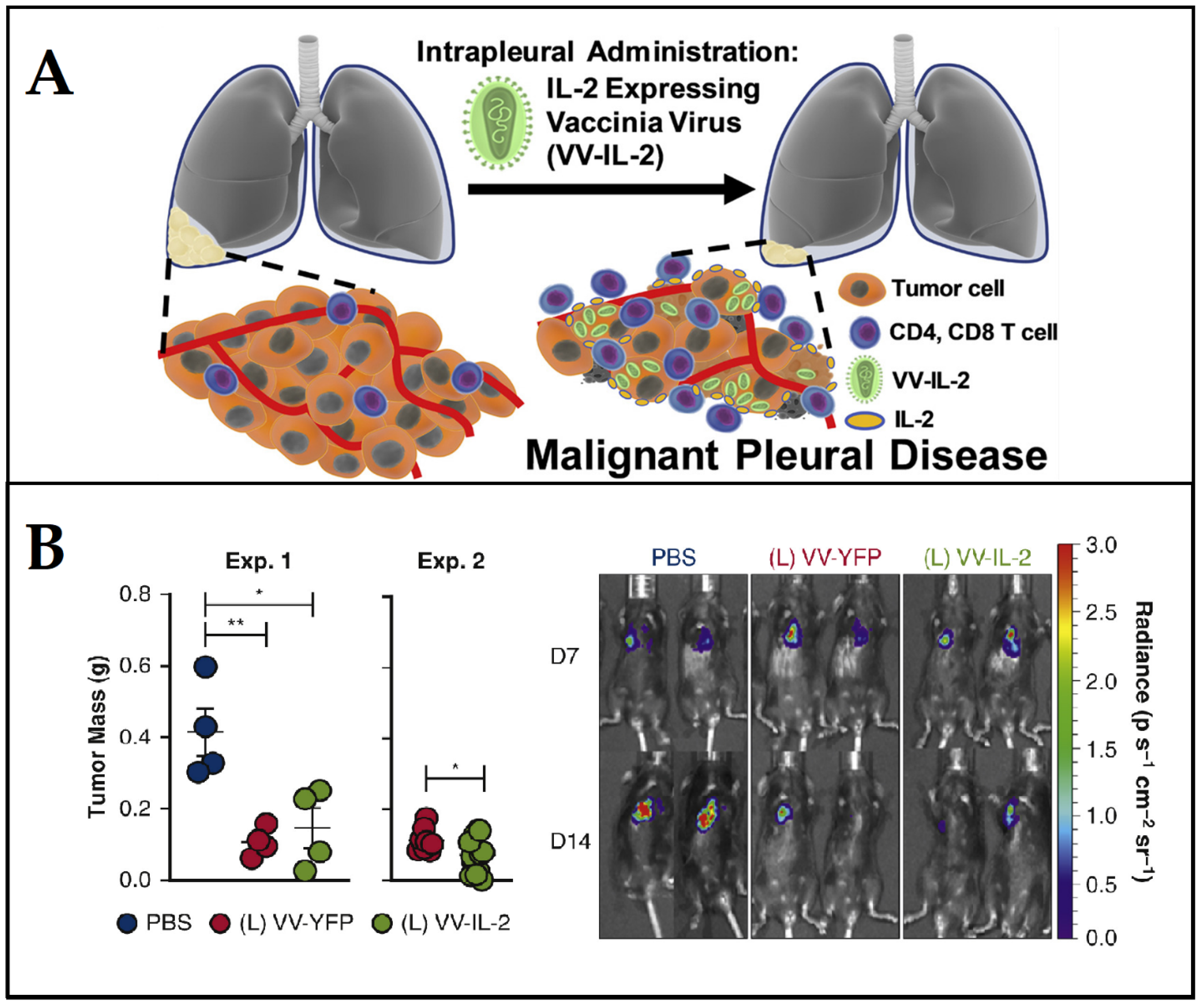 Cancers 15 02721 g011 Cancers 15 02721 g011