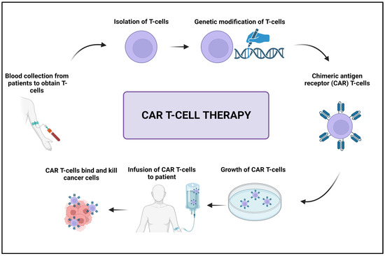 Recent Advances in Molecular Mechanisms of Cancer Immunotherapy