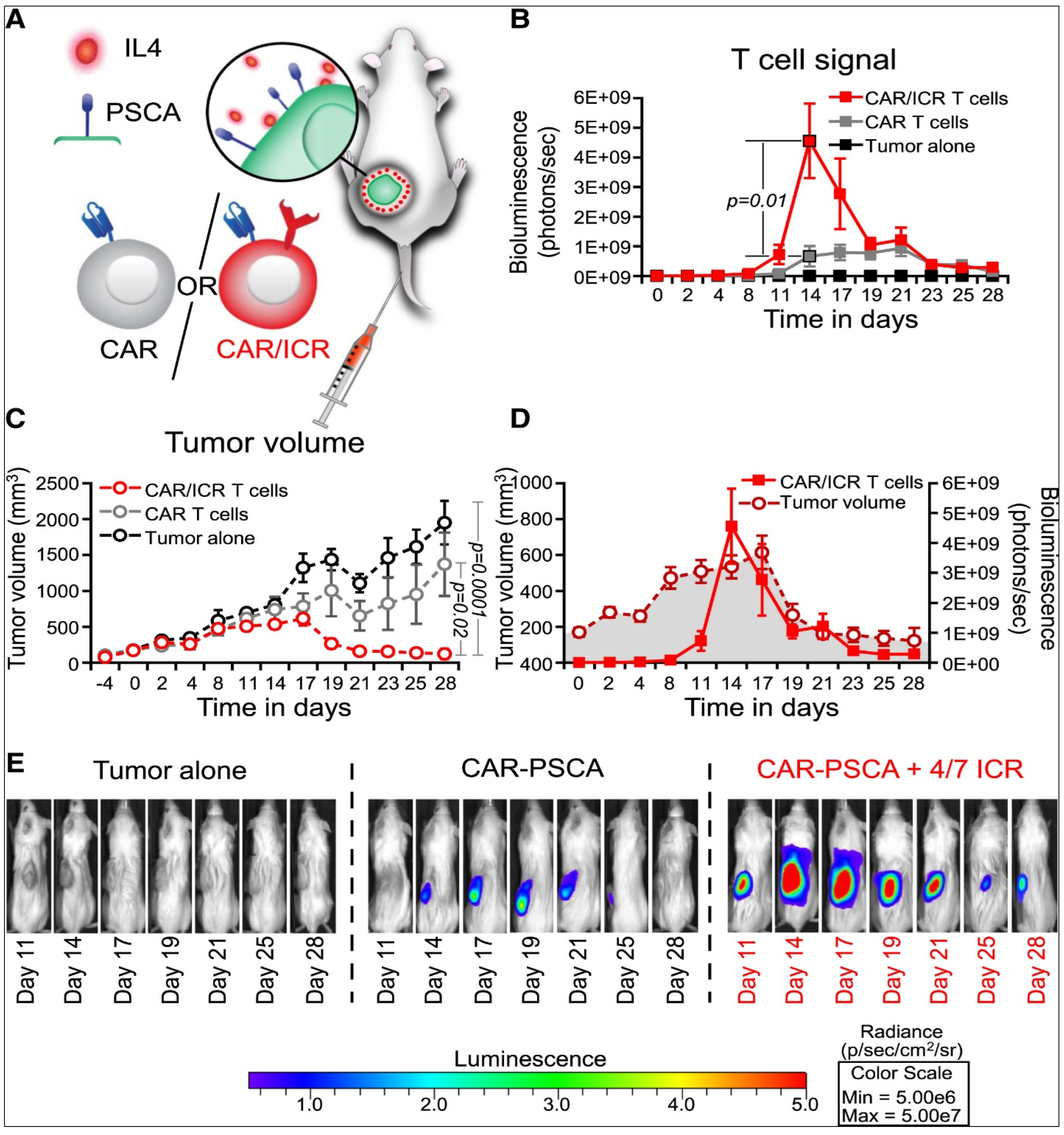 Cancers 15 02721 g013 Cancers 15 02721 g013