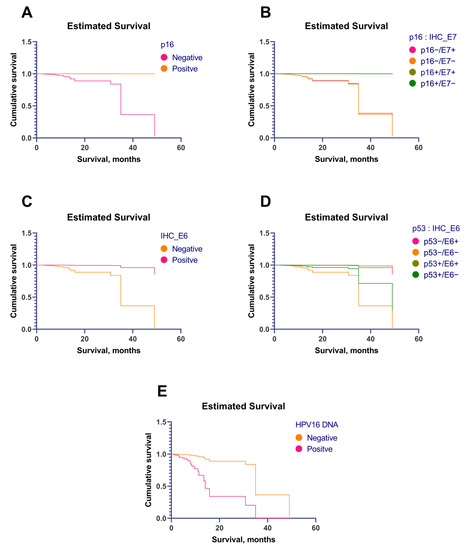 The Role of the p16 and p53 Tumor Suppressor Biology Diagrams
