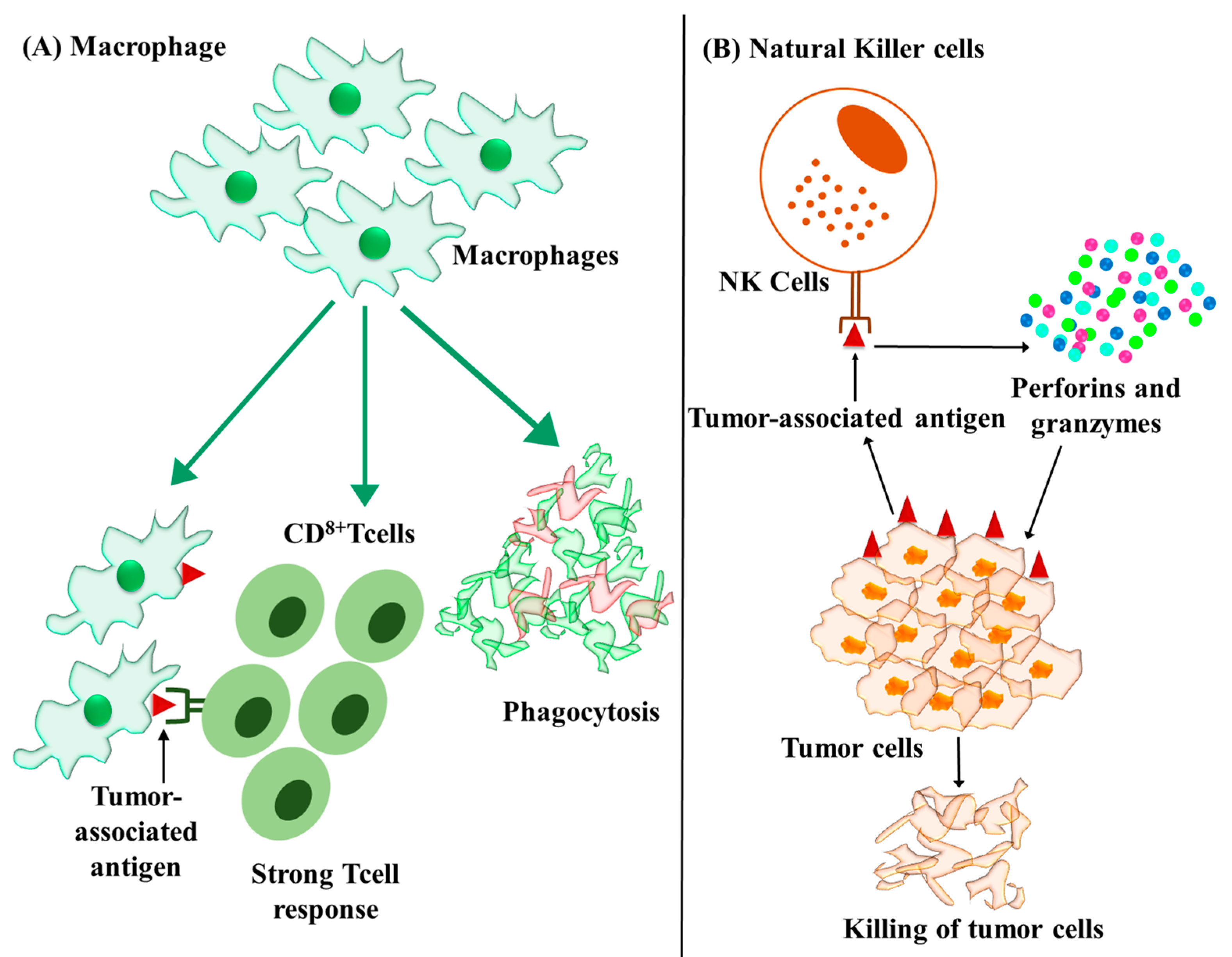 Cancers 15 02729 g004 Cancers 15 02729 g004