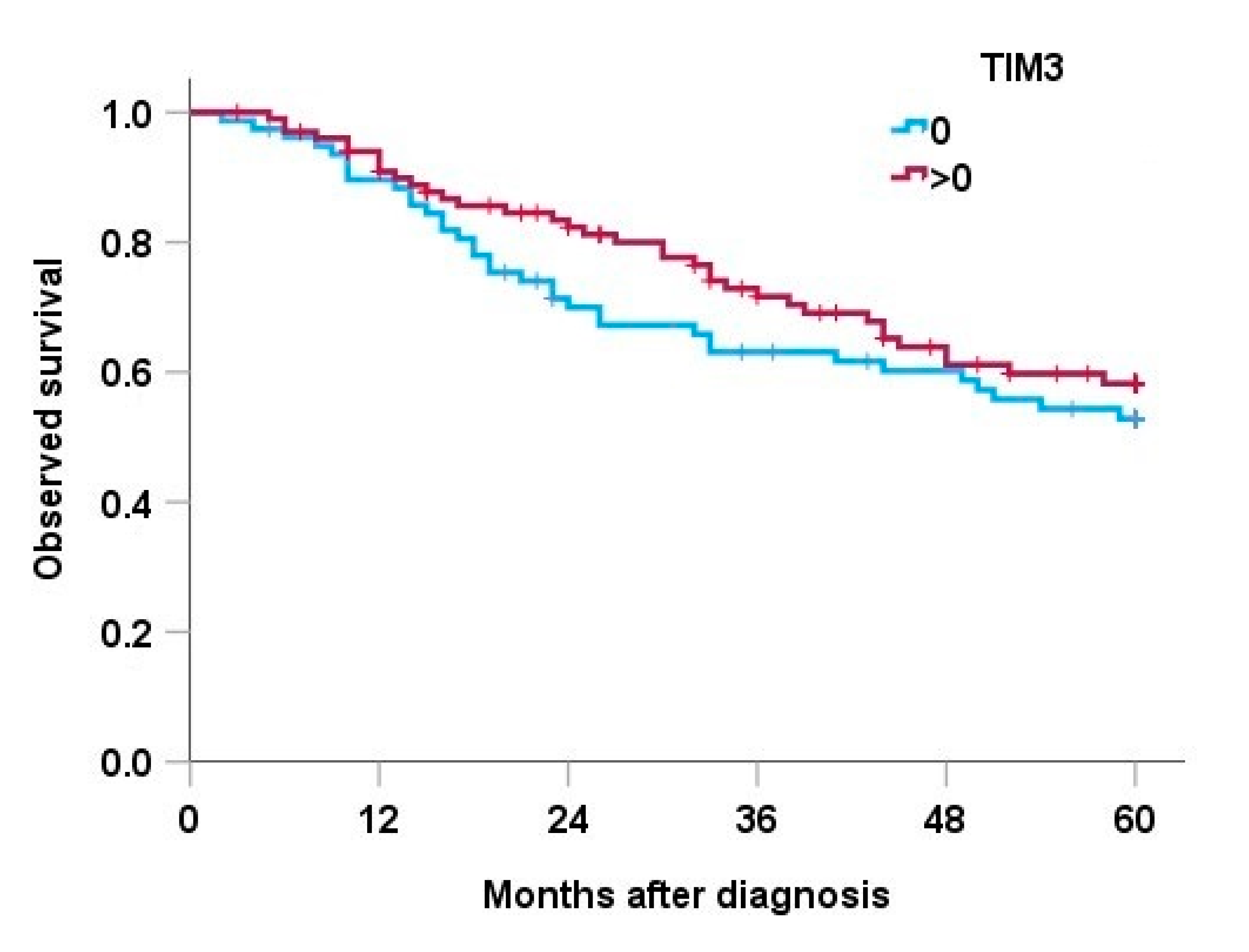 Cancers 15 02735 g002 Cancers 15 02735 g002