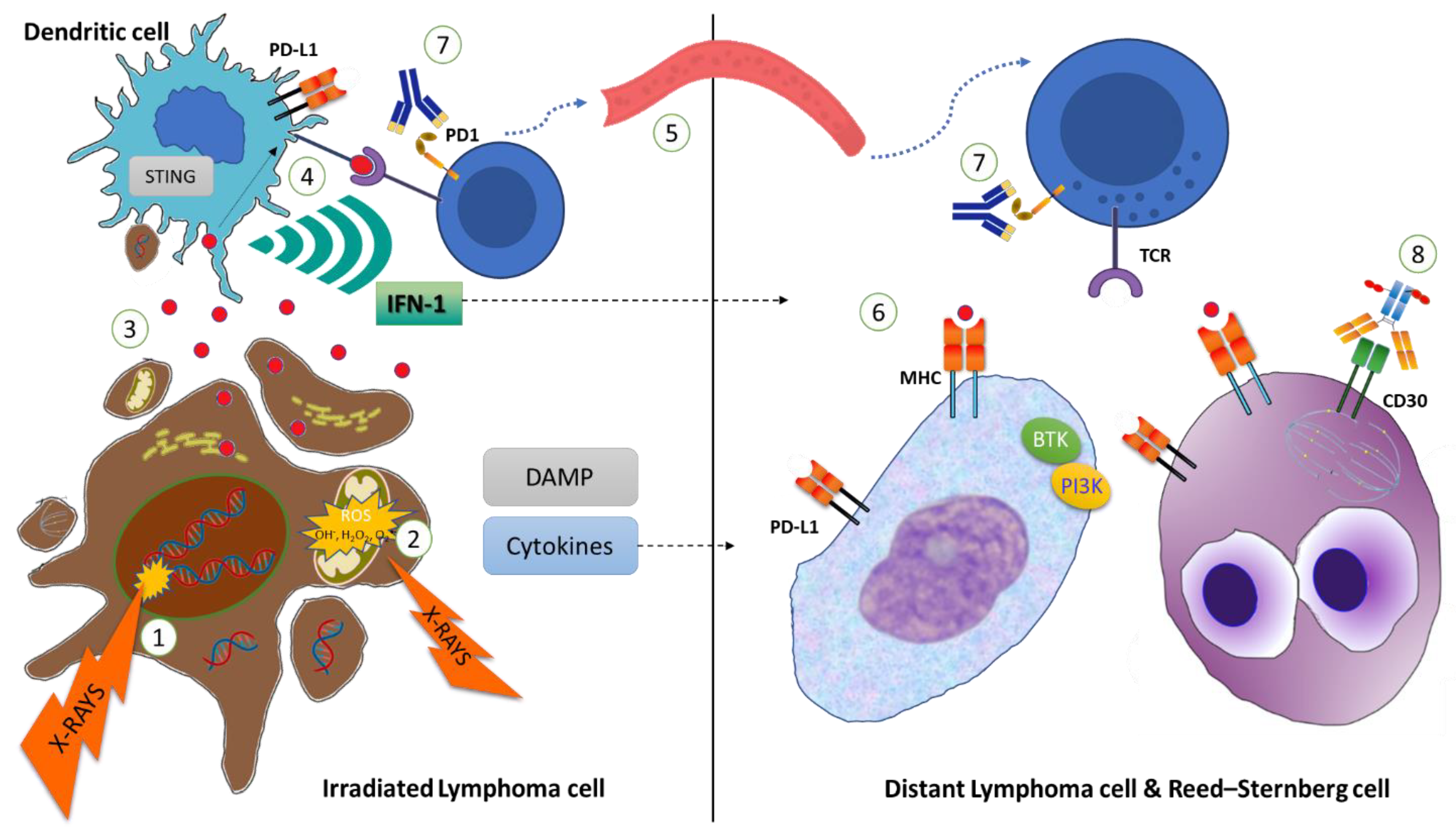 Cancers 15 02751 g001 Cancers 15 02751 g001