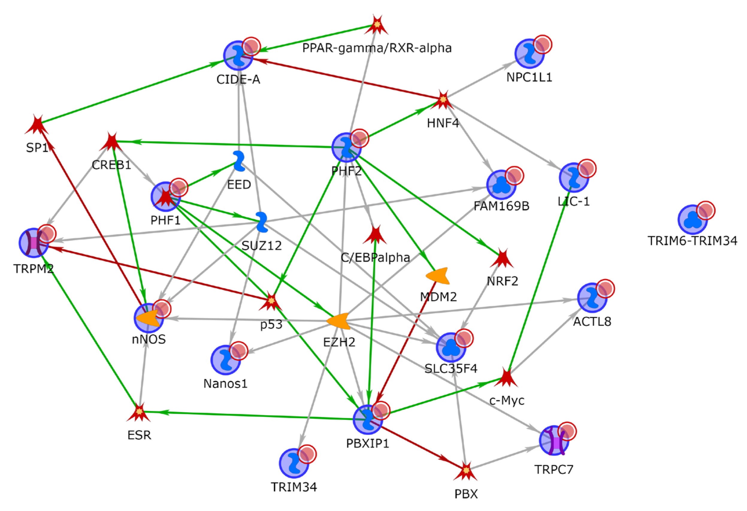 Cancers 15 02753 g004 Cancers 15 02753 g004