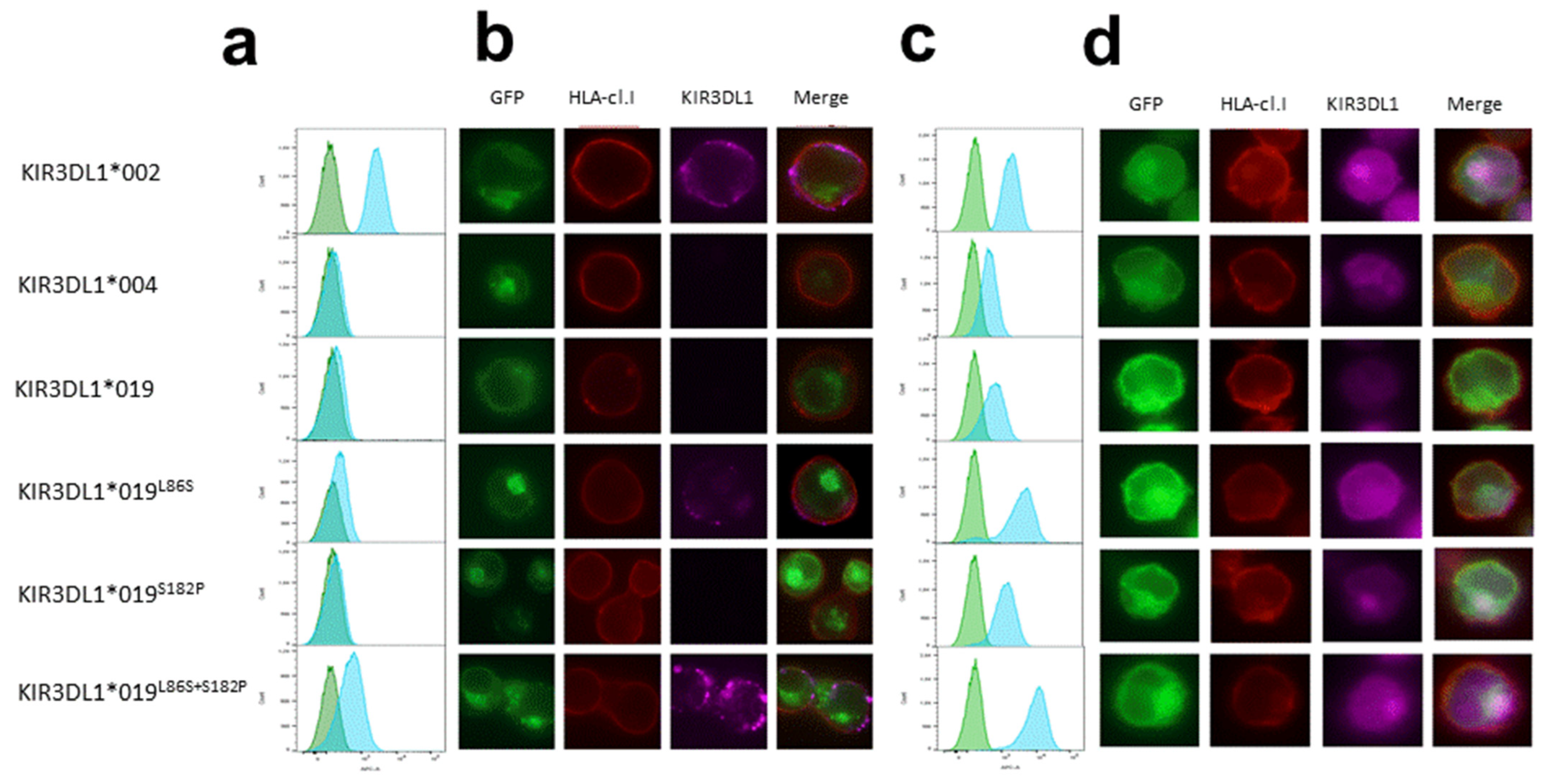 Cancers 15 02754 g002
