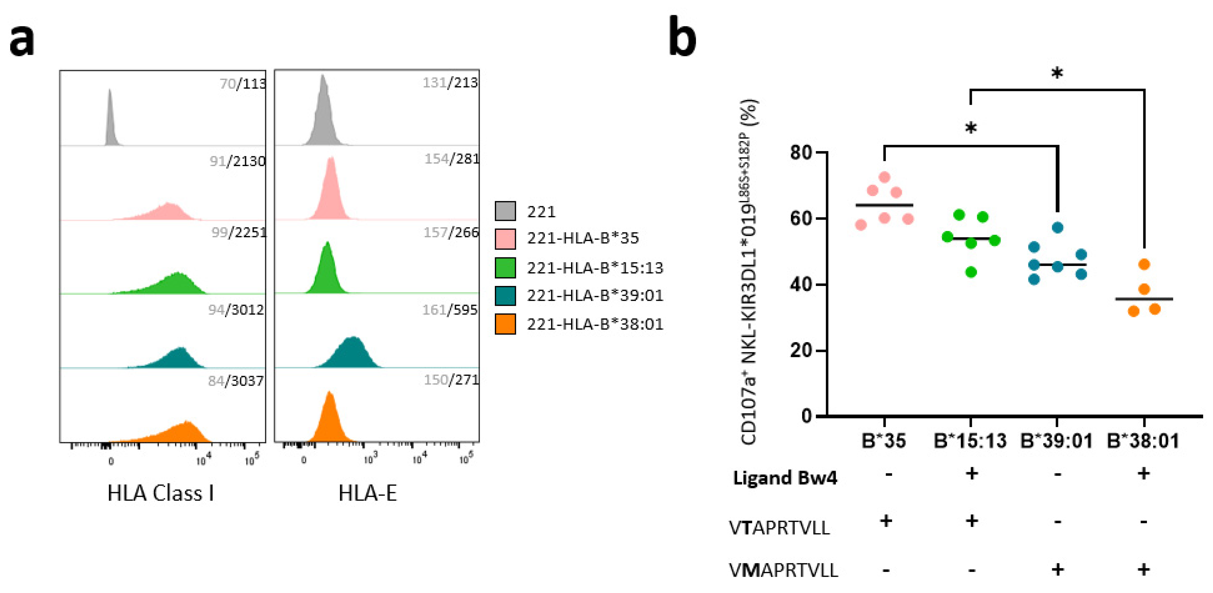 Cancers 15 02754 g003