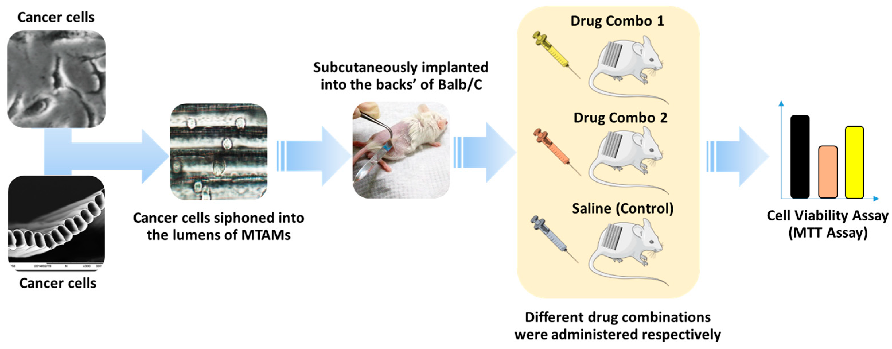 Cancers 15 02764 g002 Cancers 15 02764 g002