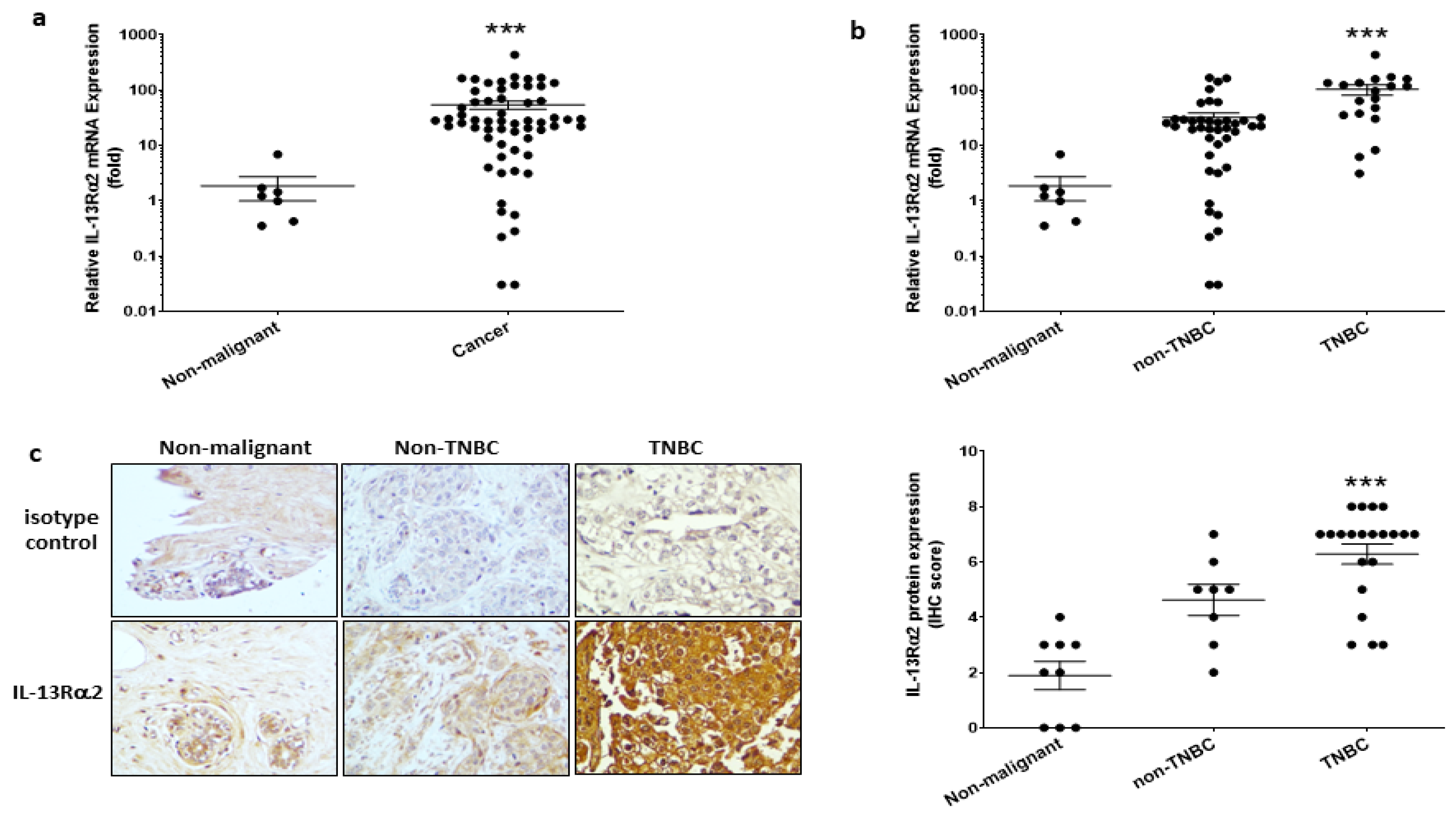 Cancers 15 02772 g001 Cancers 15 02772 g001