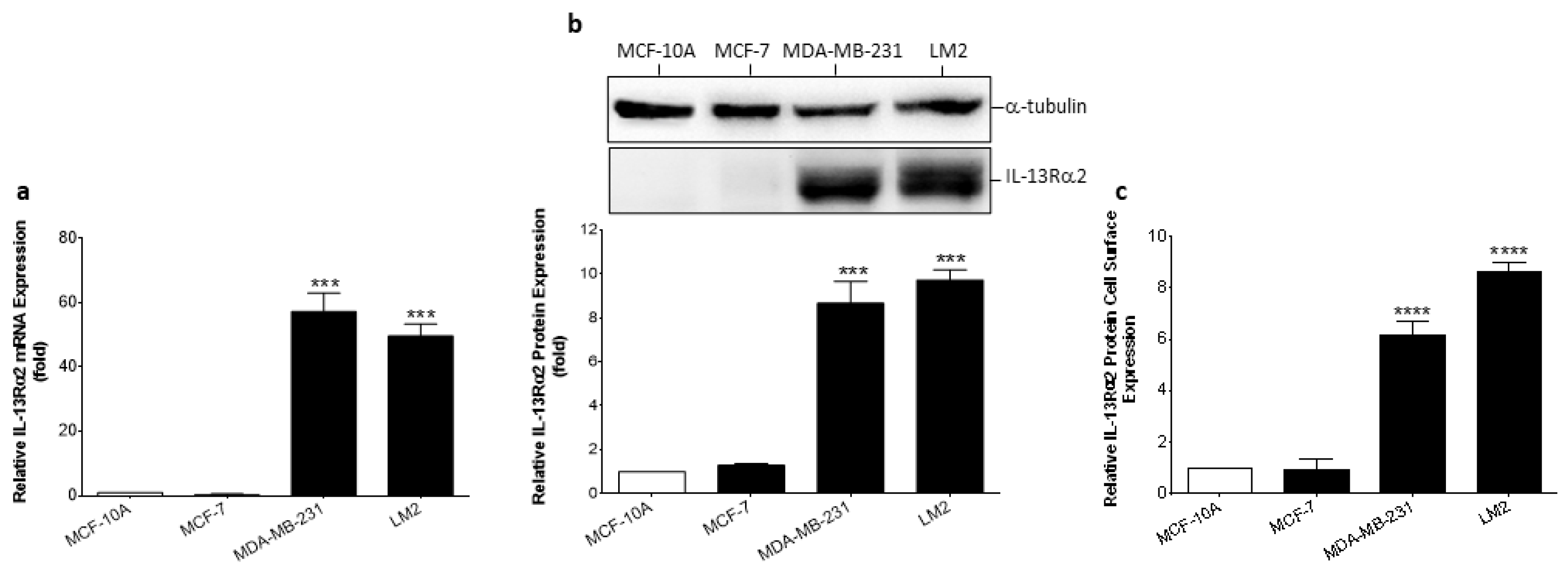 Cancers 15 02772 g002 Cancers 15 02772 g002
