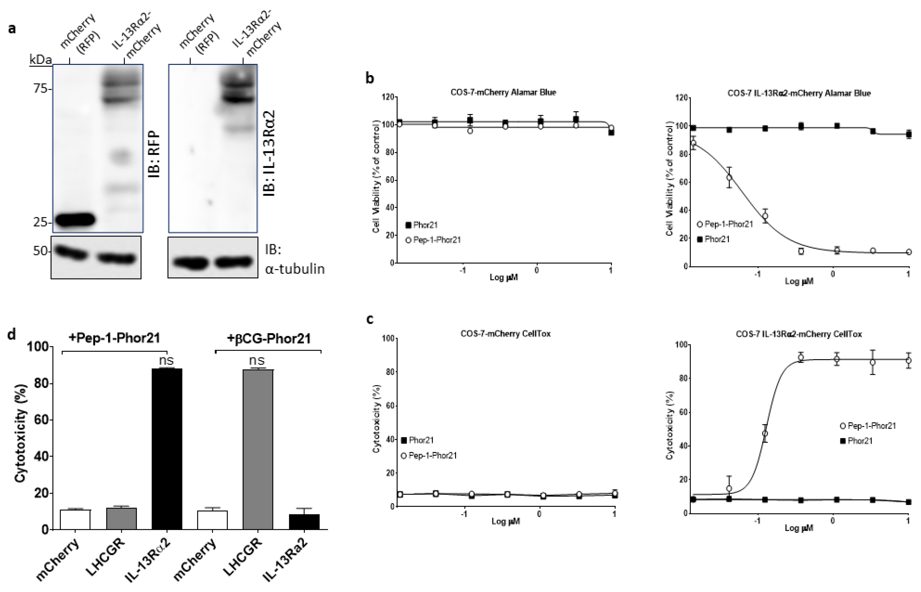 Cancers 15 02772 g003 Cancers 15 02772 g003