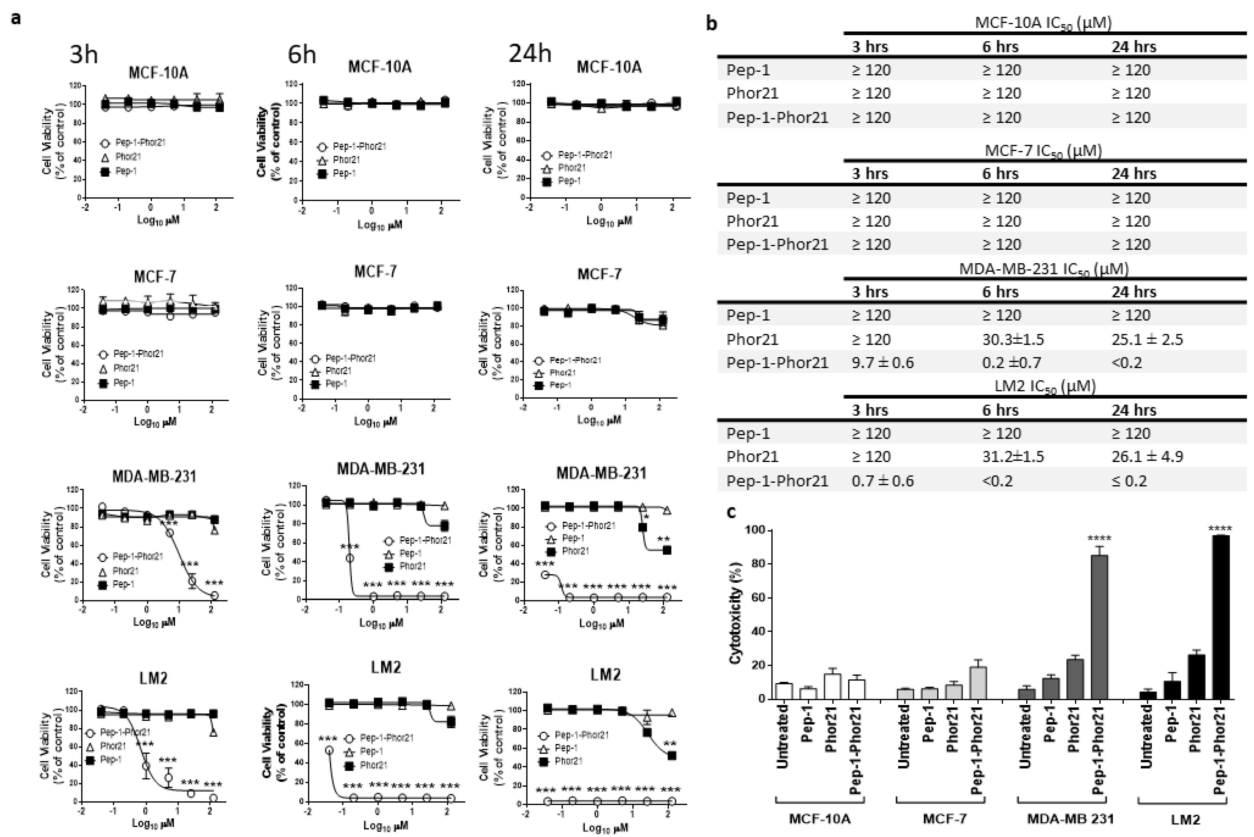Cancers 15 02772 g004 Cancers 15 02772 g004
