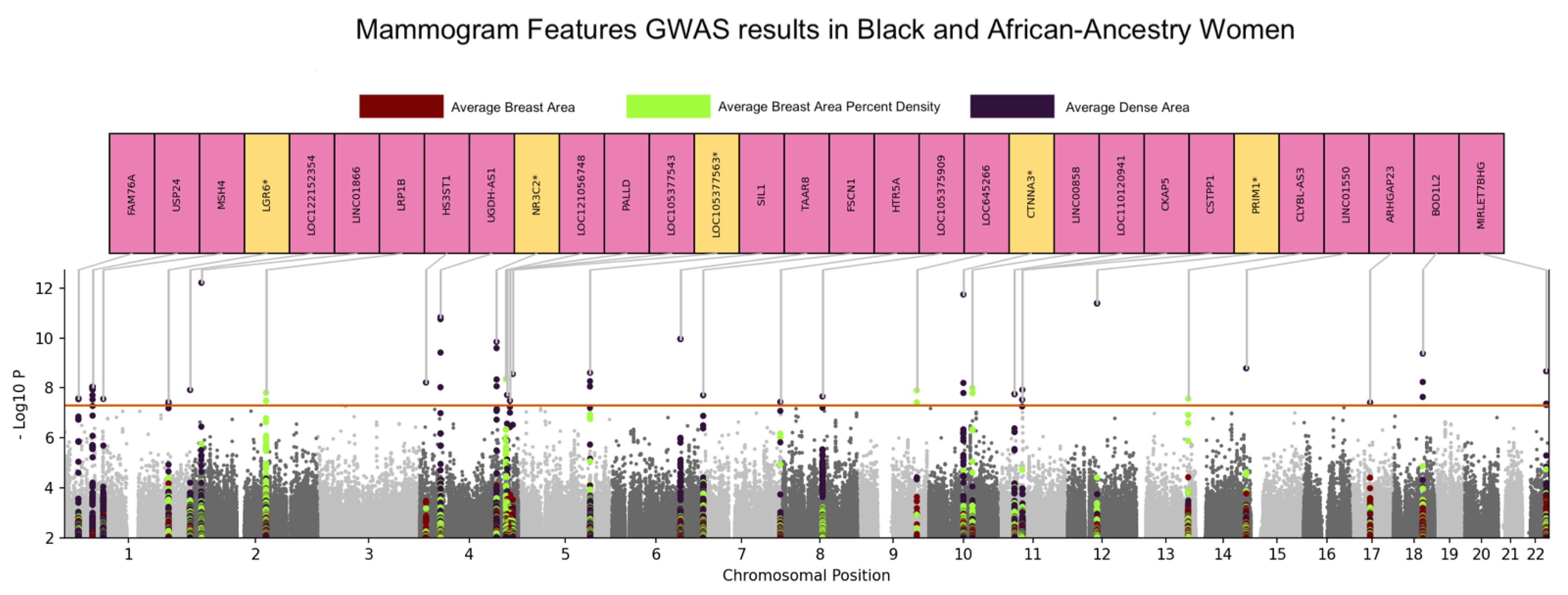 Cancers Free Full-Text Genome-Wide Association Study of Breast Density among Women of African Ancestry