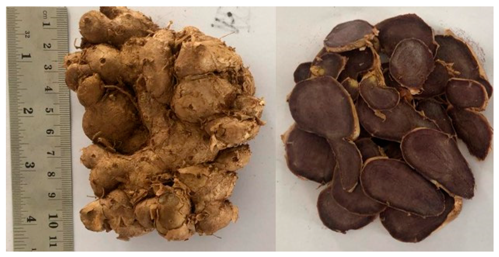 Cancers 15 02785 g001 Cancers 15 02785 g001