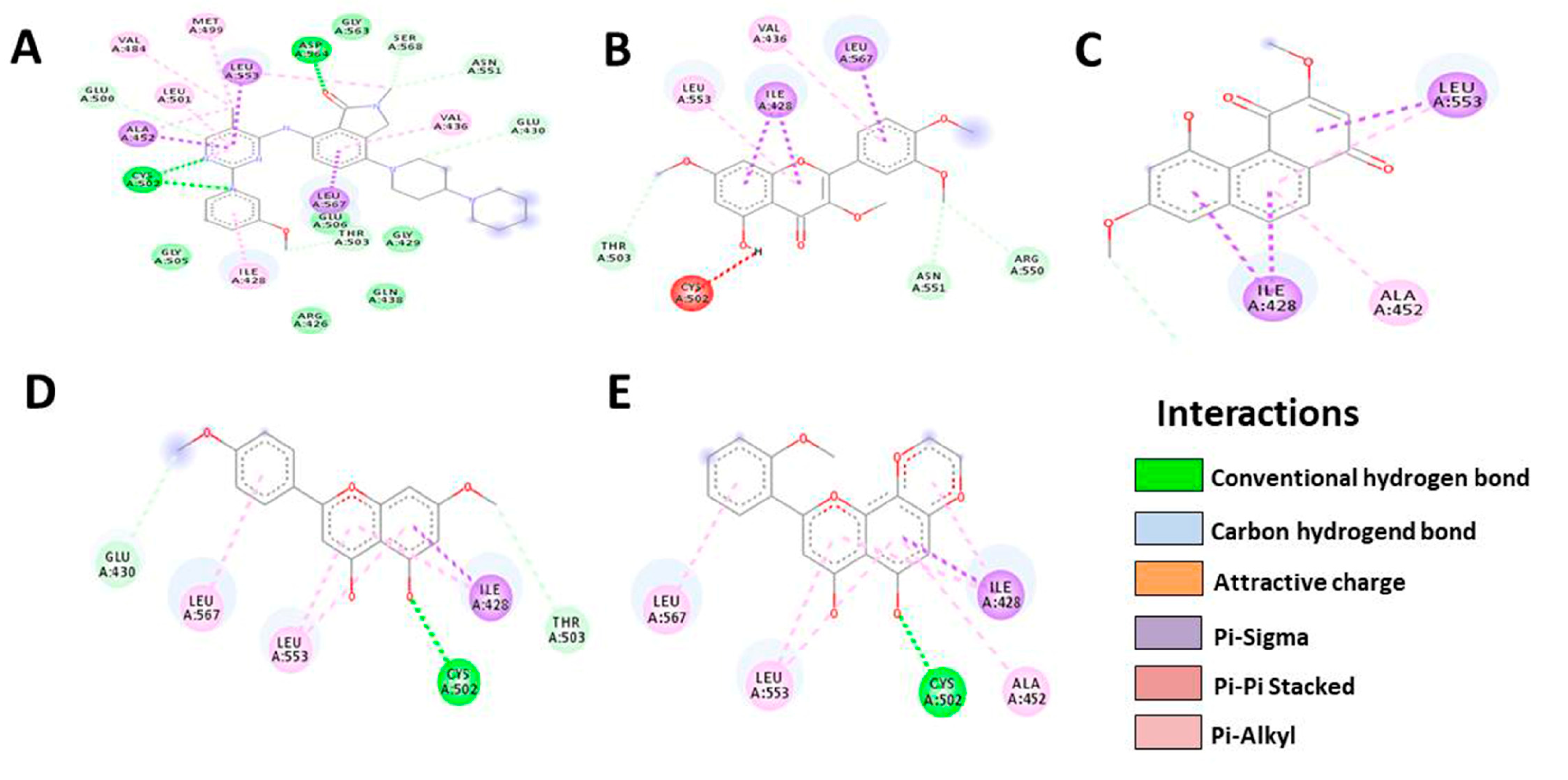 Cancers 15 02785 g009 Cancers 15 02785 g009
