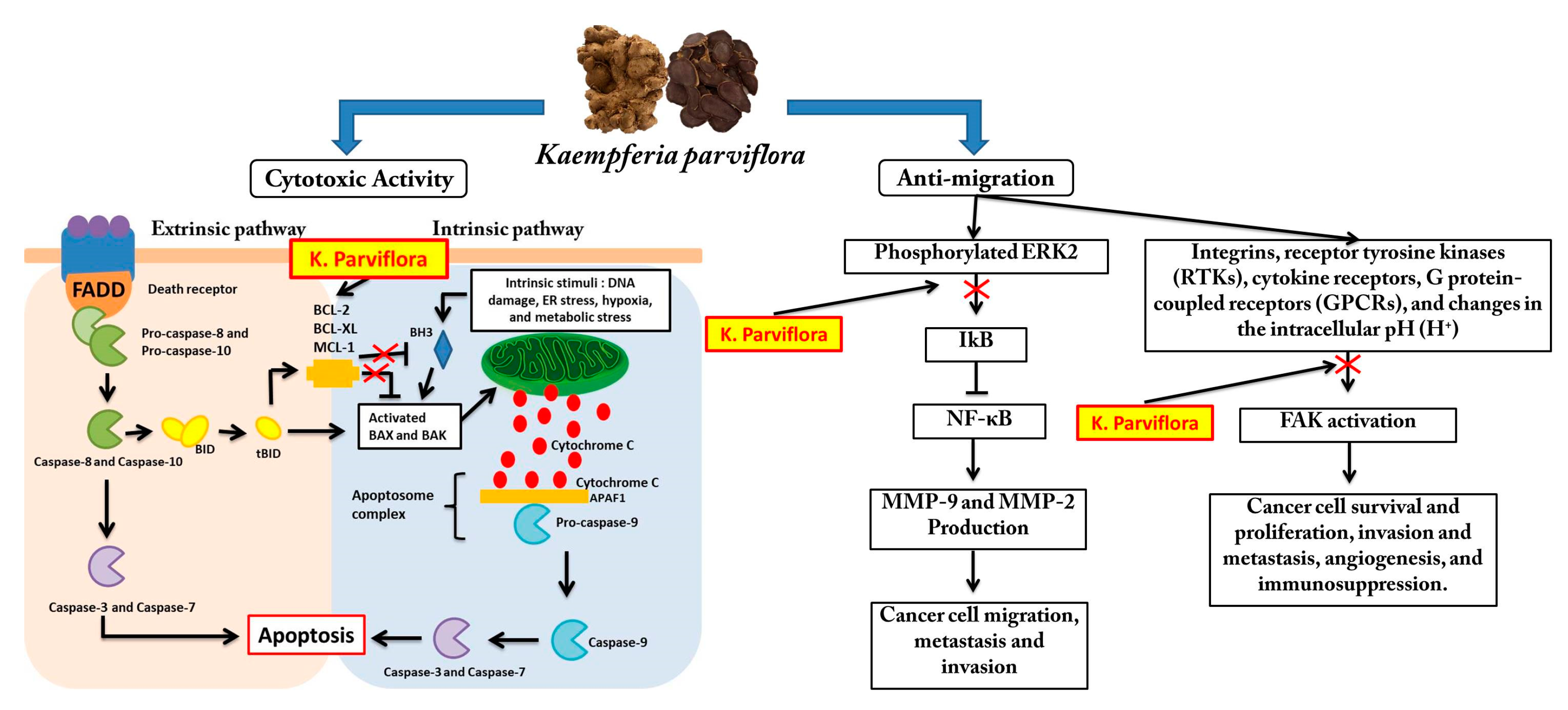 Cancers 15 02785 g010 Cancers 15 02785 g010