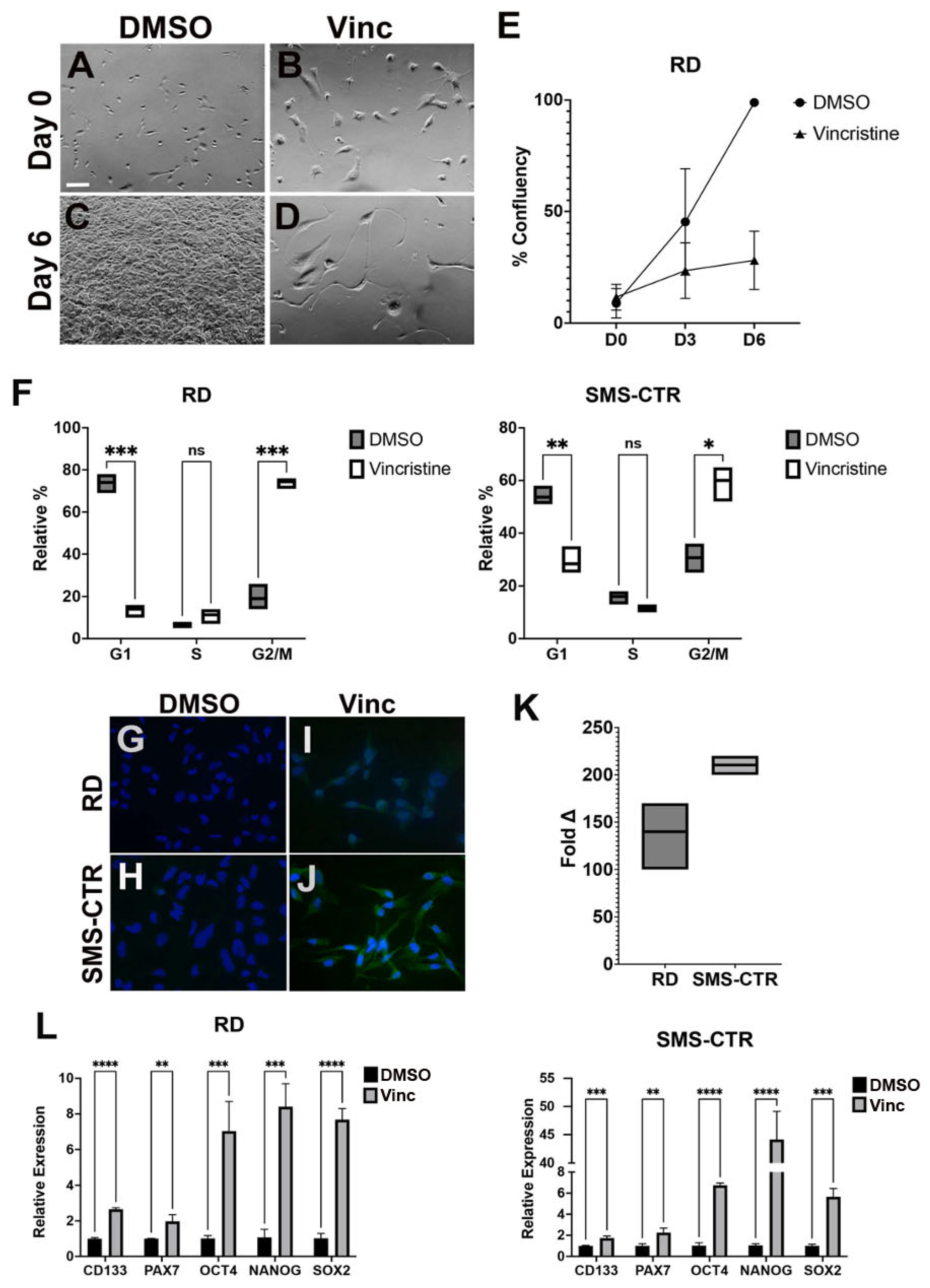 Cancers 15 02788 g001