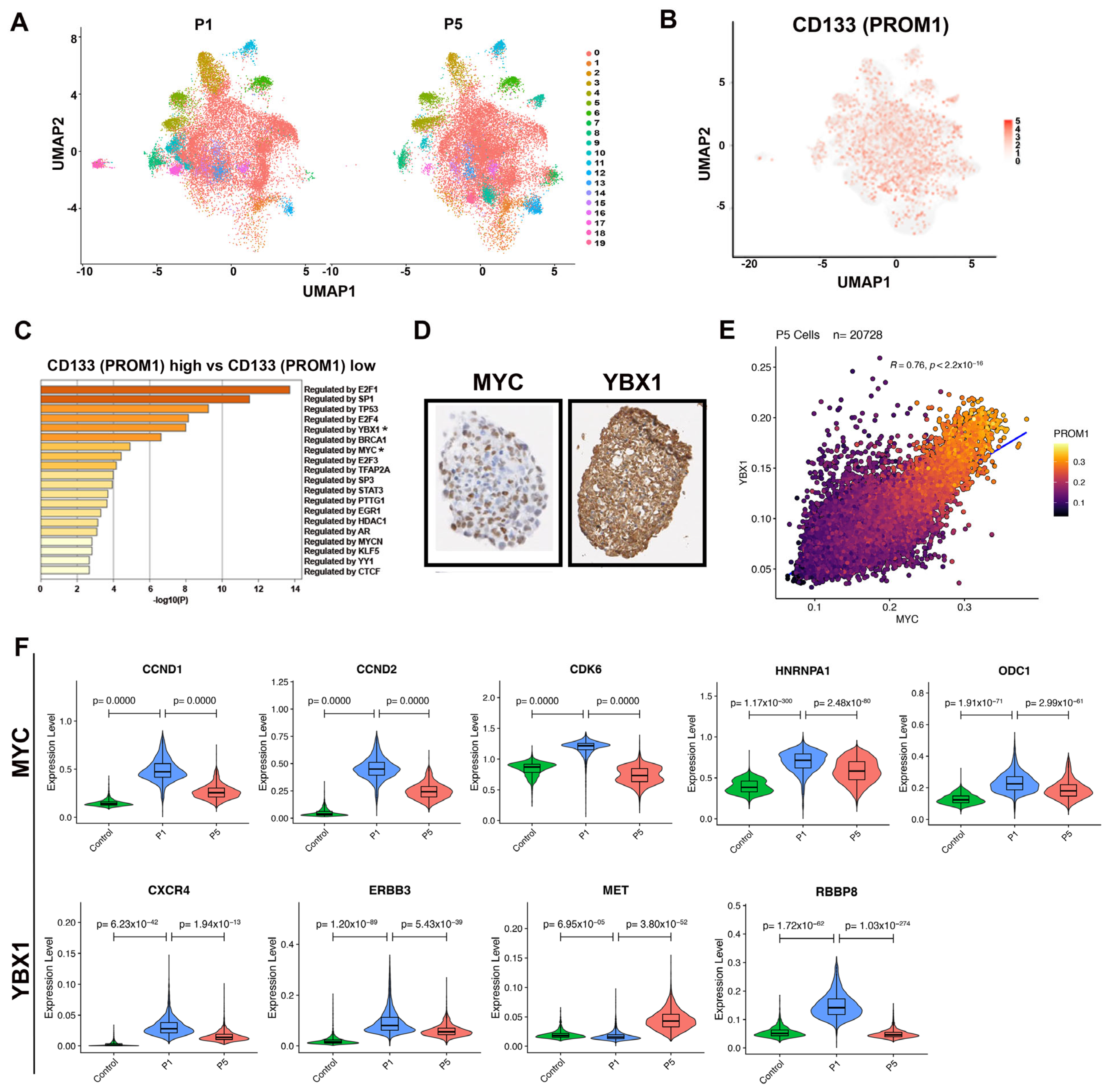 Cancers 15 02788 g002