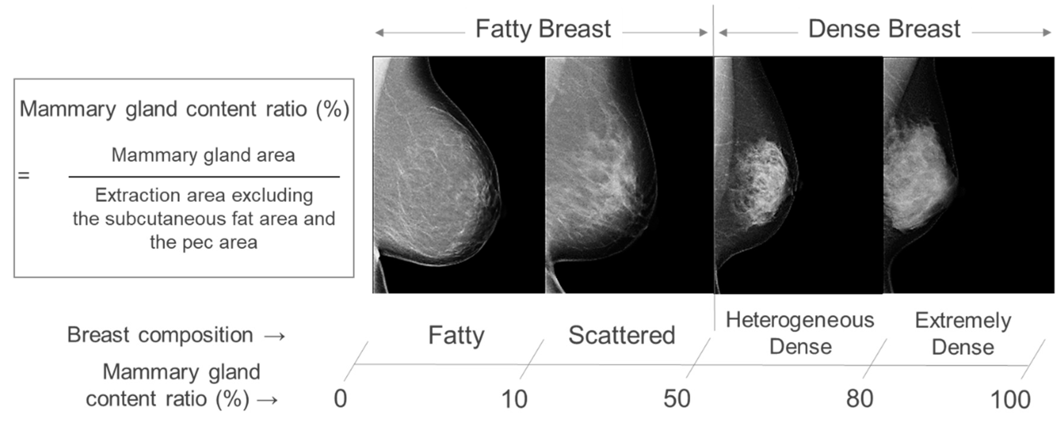 Cancers 15 02794 g001 Cancers 15 02794 g001
