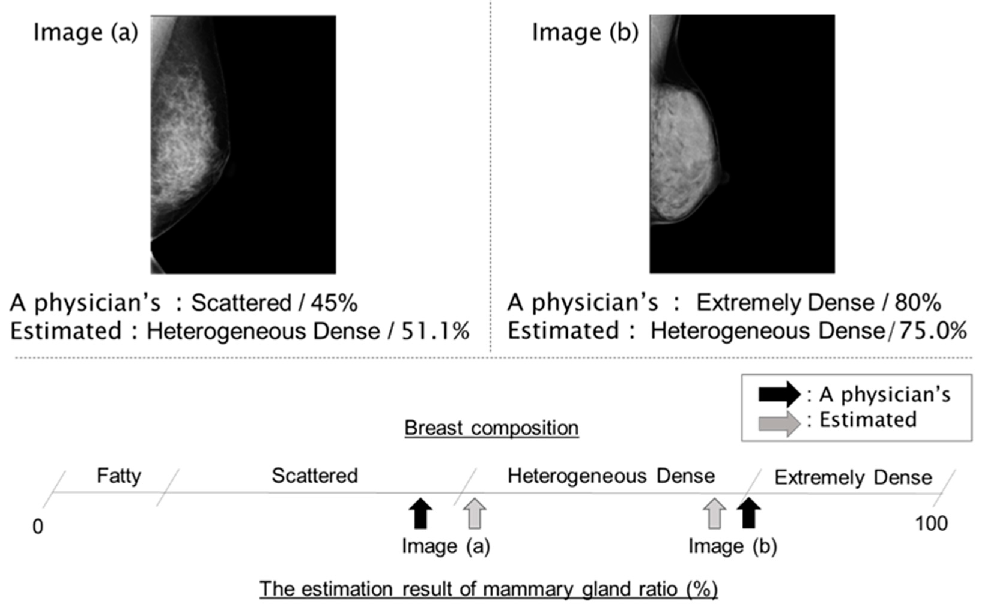 Cancers 15 02794 g007 Cancers 15 02794 g007