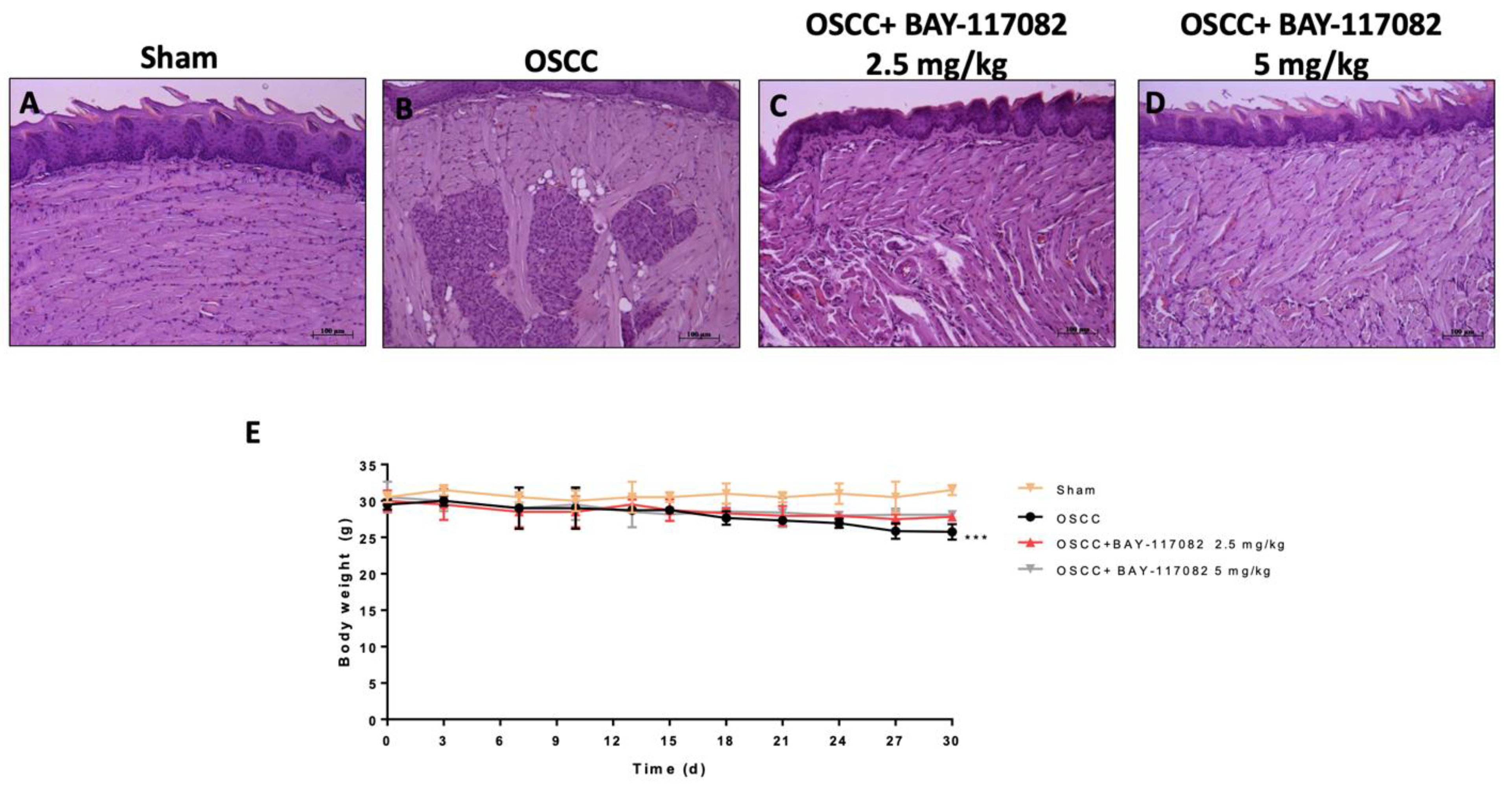 Cancers 15 02796 g001 Cancers 15 02796 g001