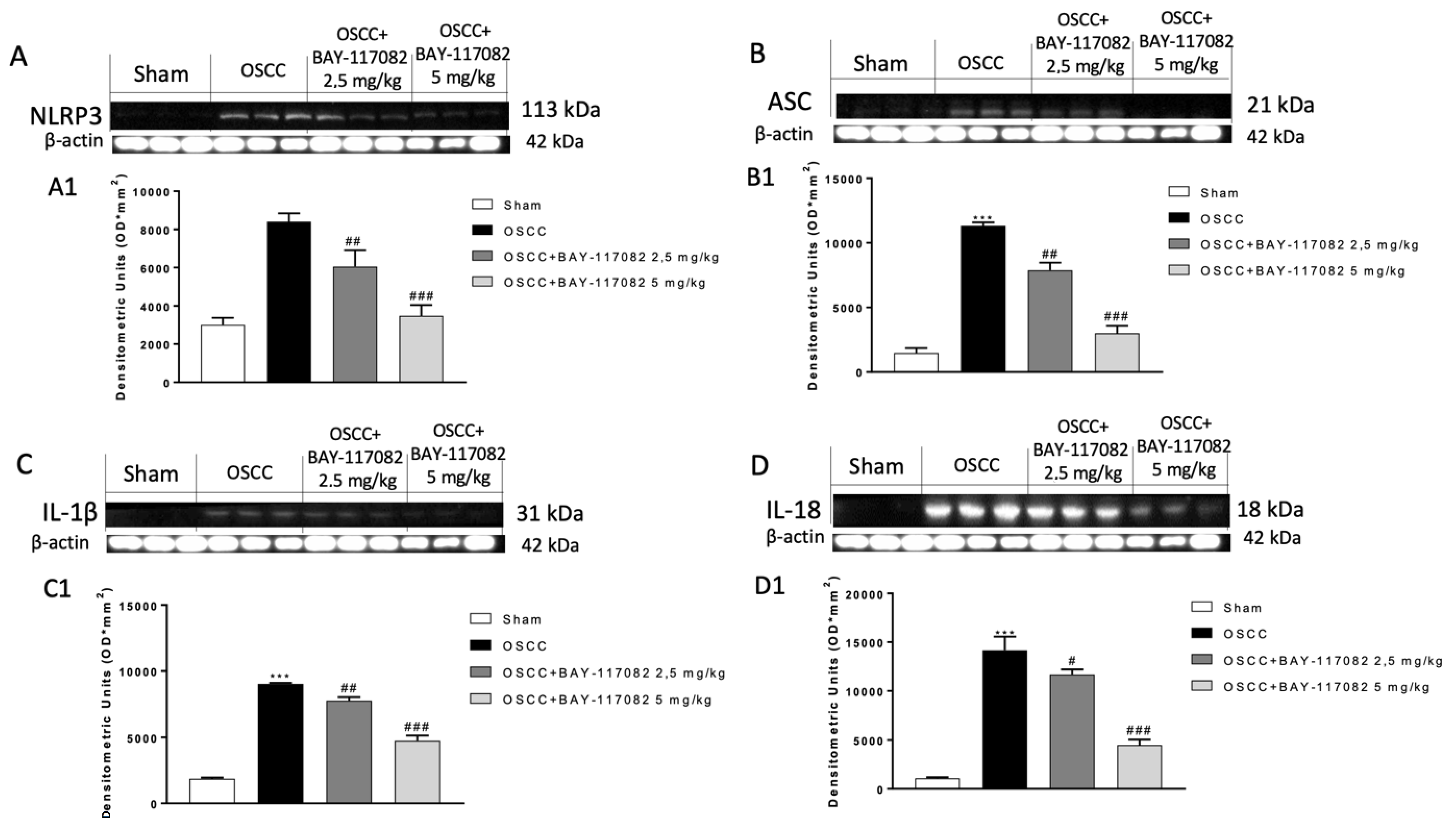 Cancers 15 02796 g002 Cancers 15 02796 g002