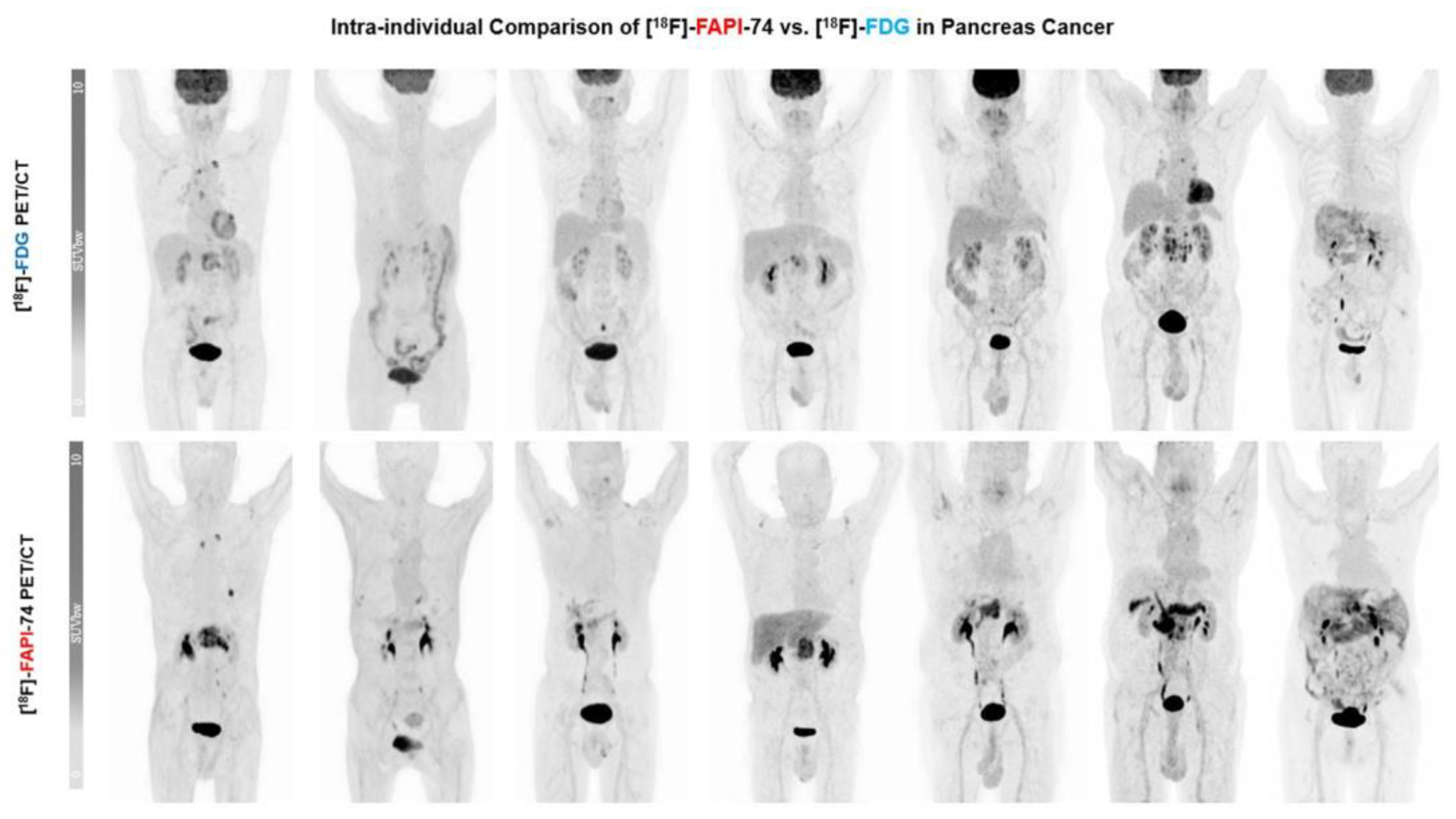 Cancers 15 02798 g006