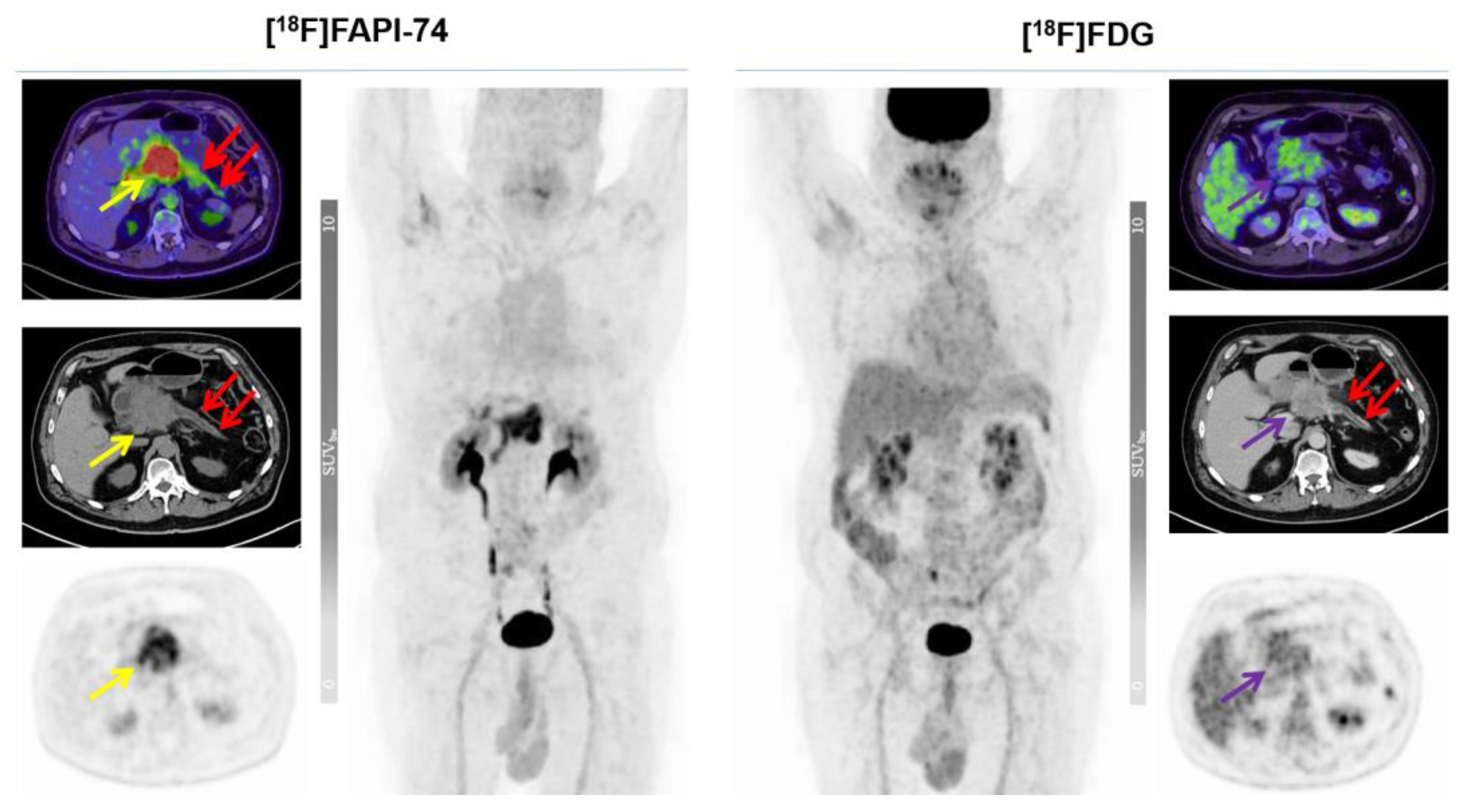 Cancers 15 02798 g007