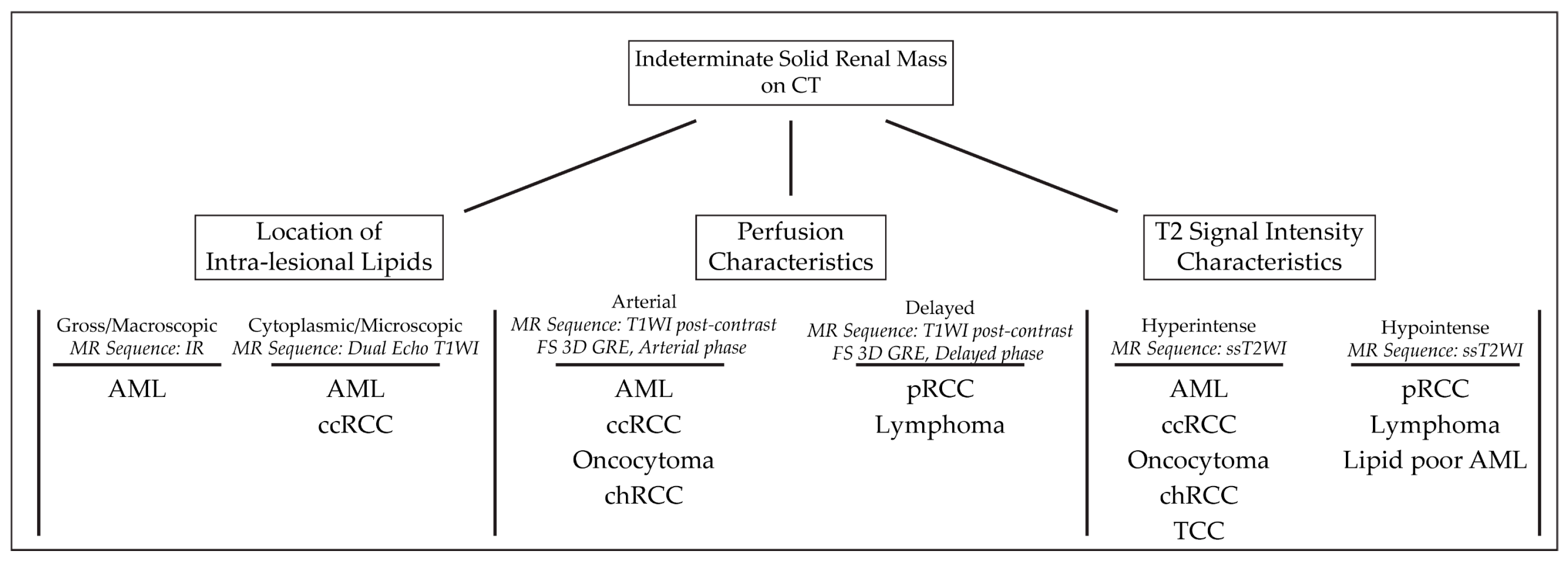 Cancers 15 02799 g001
