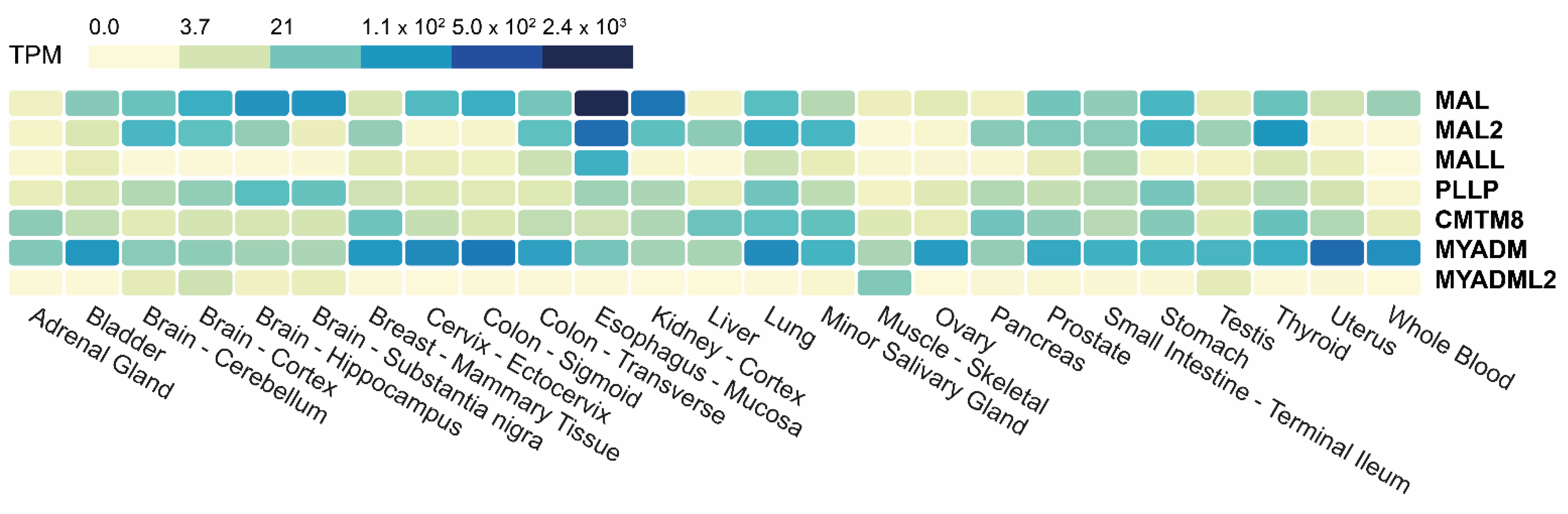 Cancers 15 02801 g003 Cancers 15 02801 g003
