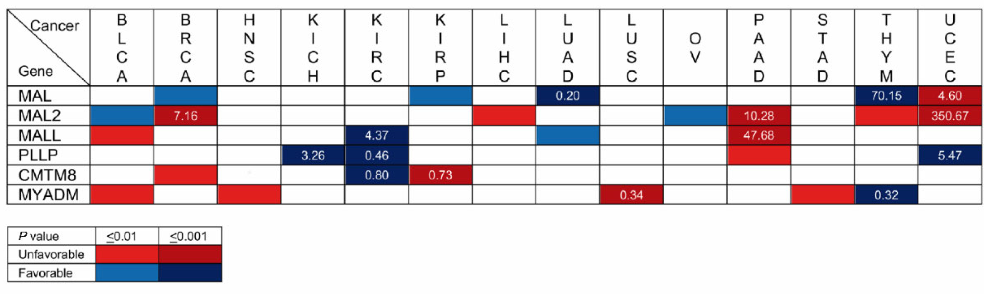 Cancers 15 02801 g007 Cancers 15 02801 g007