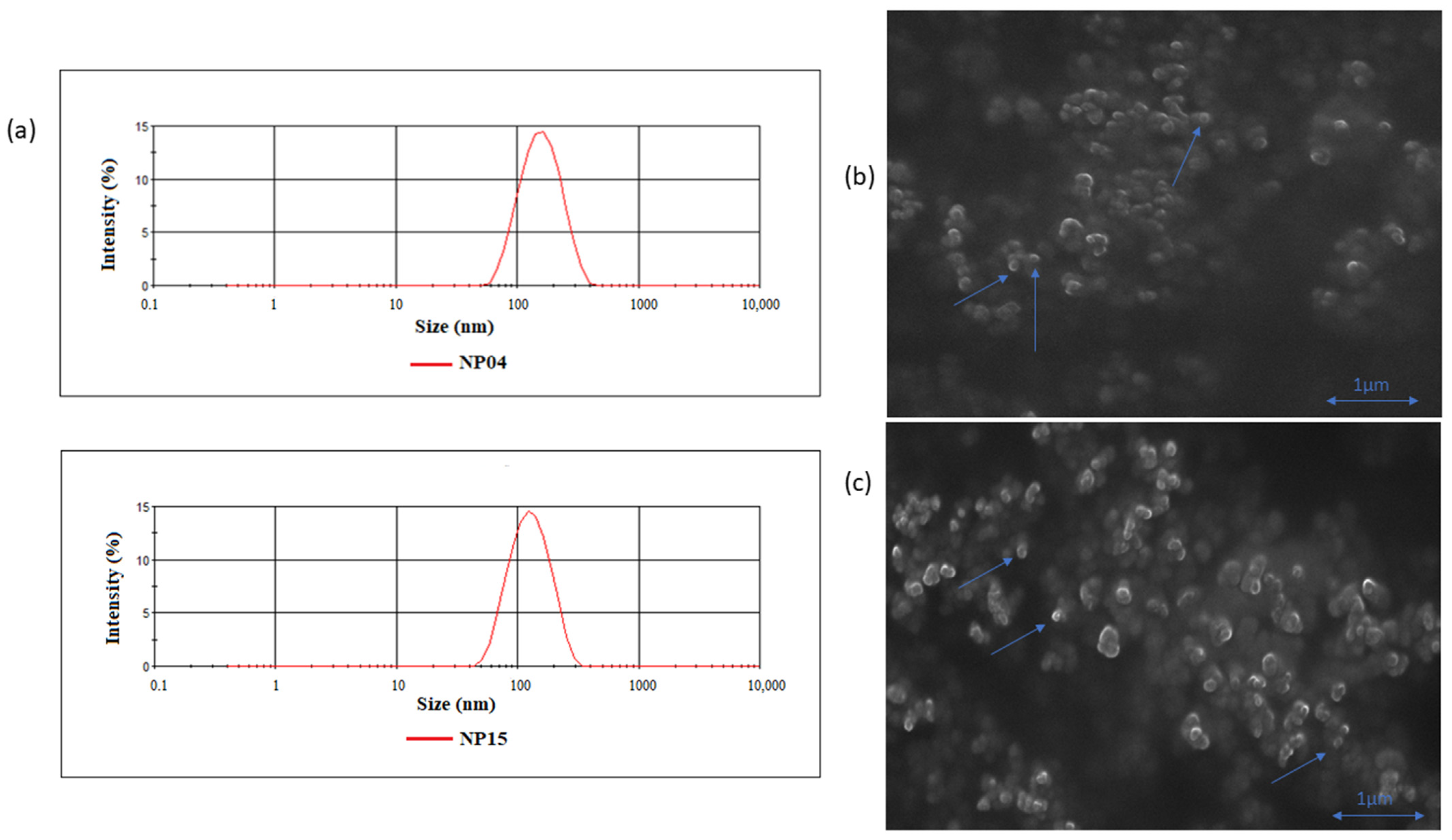Cancers 15 02802 g001 Cancers 15 02802 g001