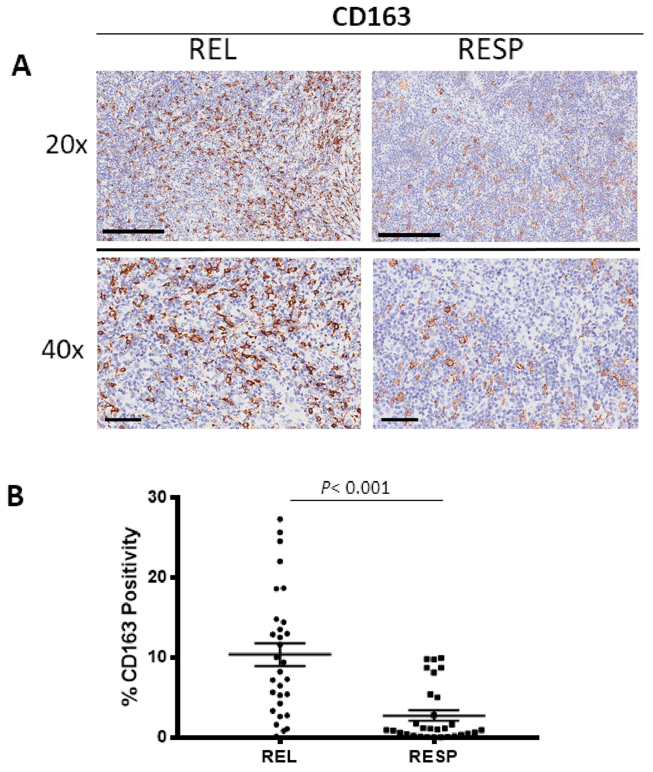 Cancers 15 02803 g002 Cancers 15 02803 g002