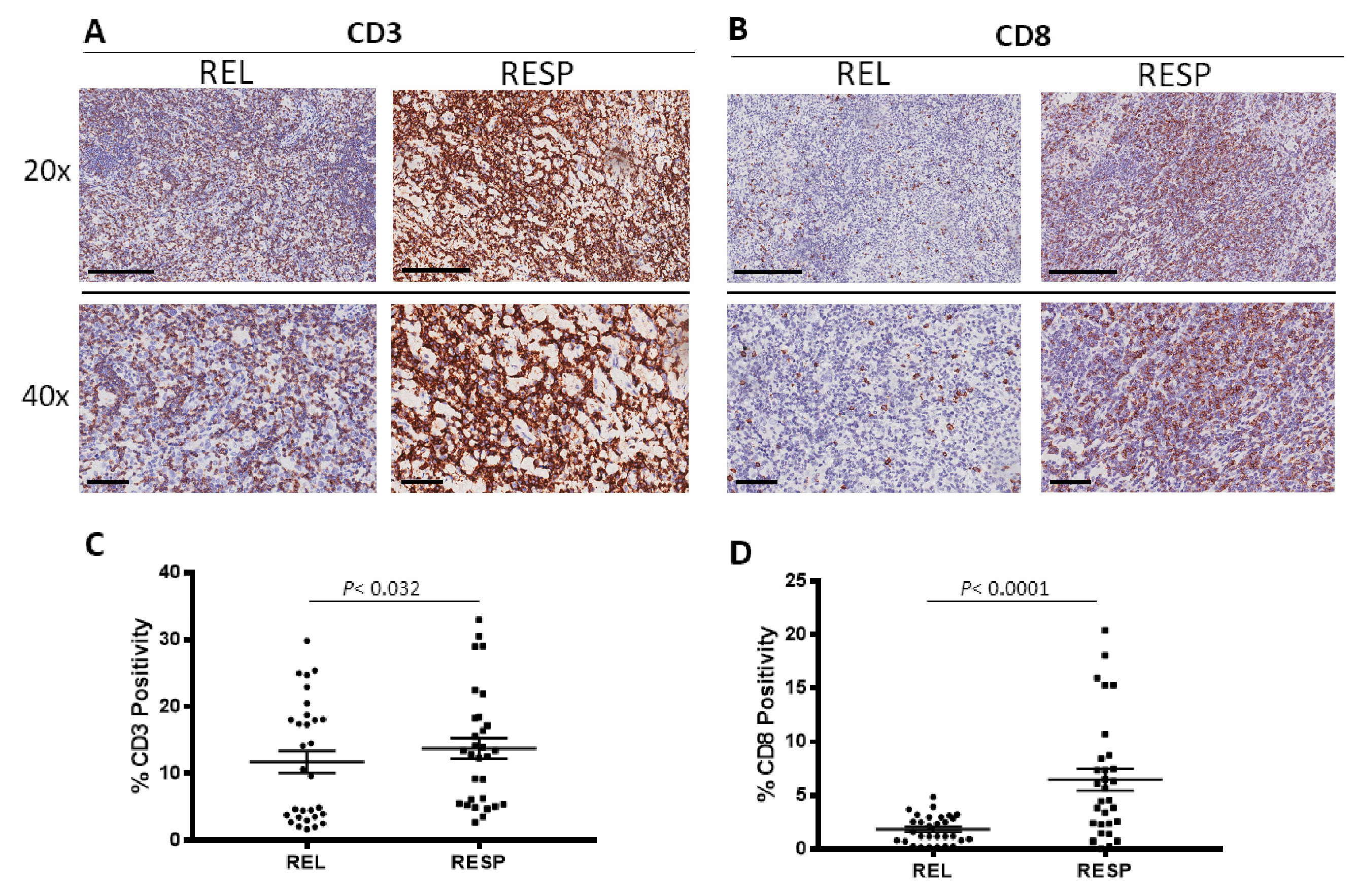 Cancers 15 02803 g003 Cancers 15 02803 g003