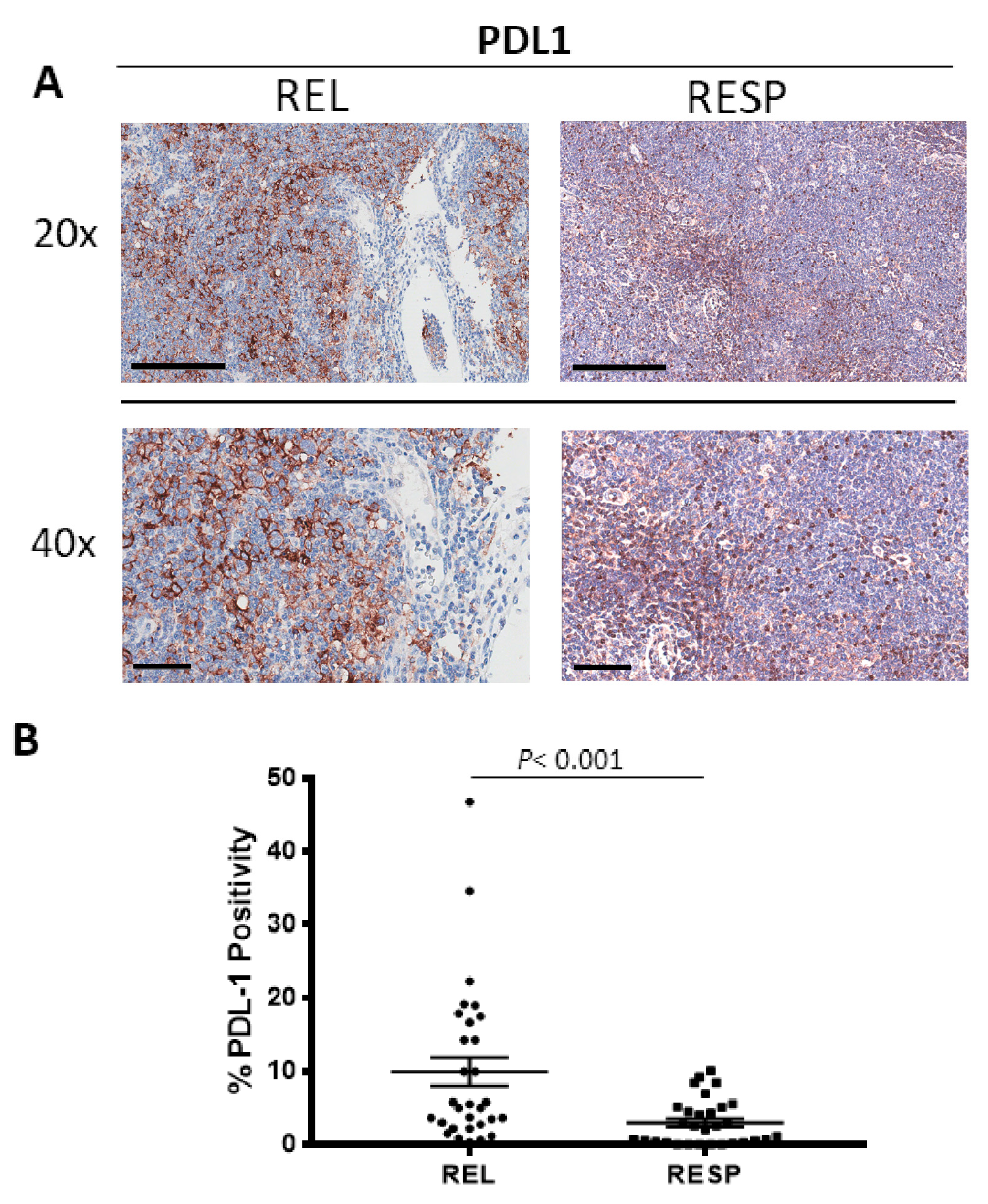 Cancers 15 02803 g004 Cancers 15 02803 g004