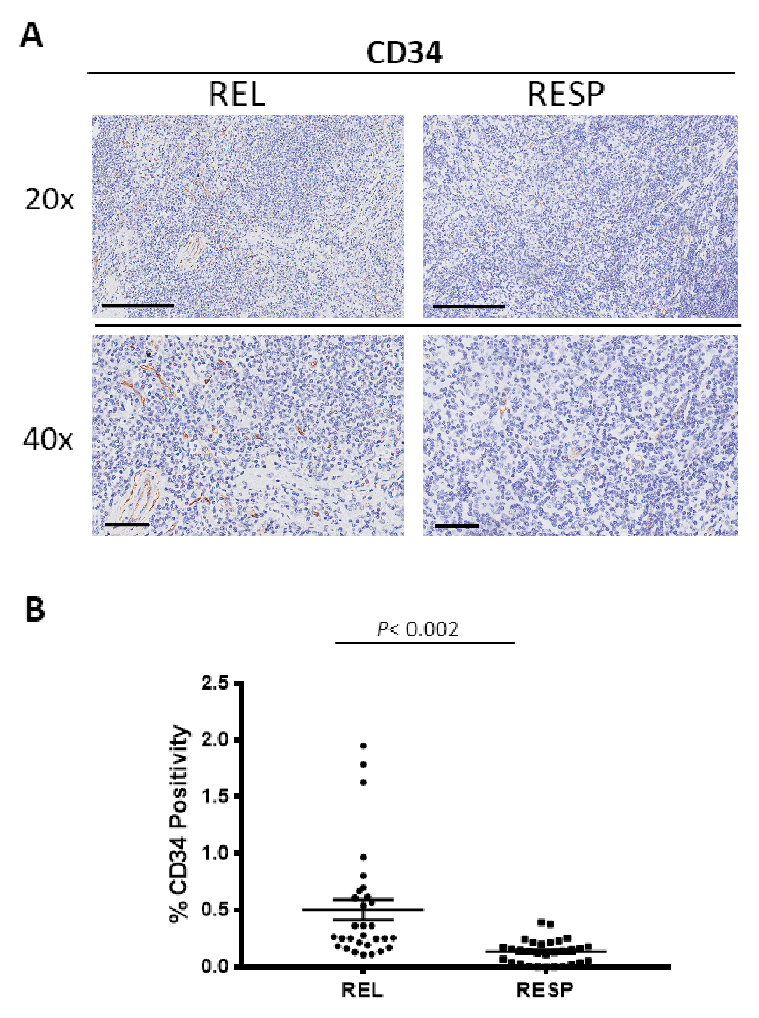 Cancers 15 02803 g005 Cancers 15 02803 g005