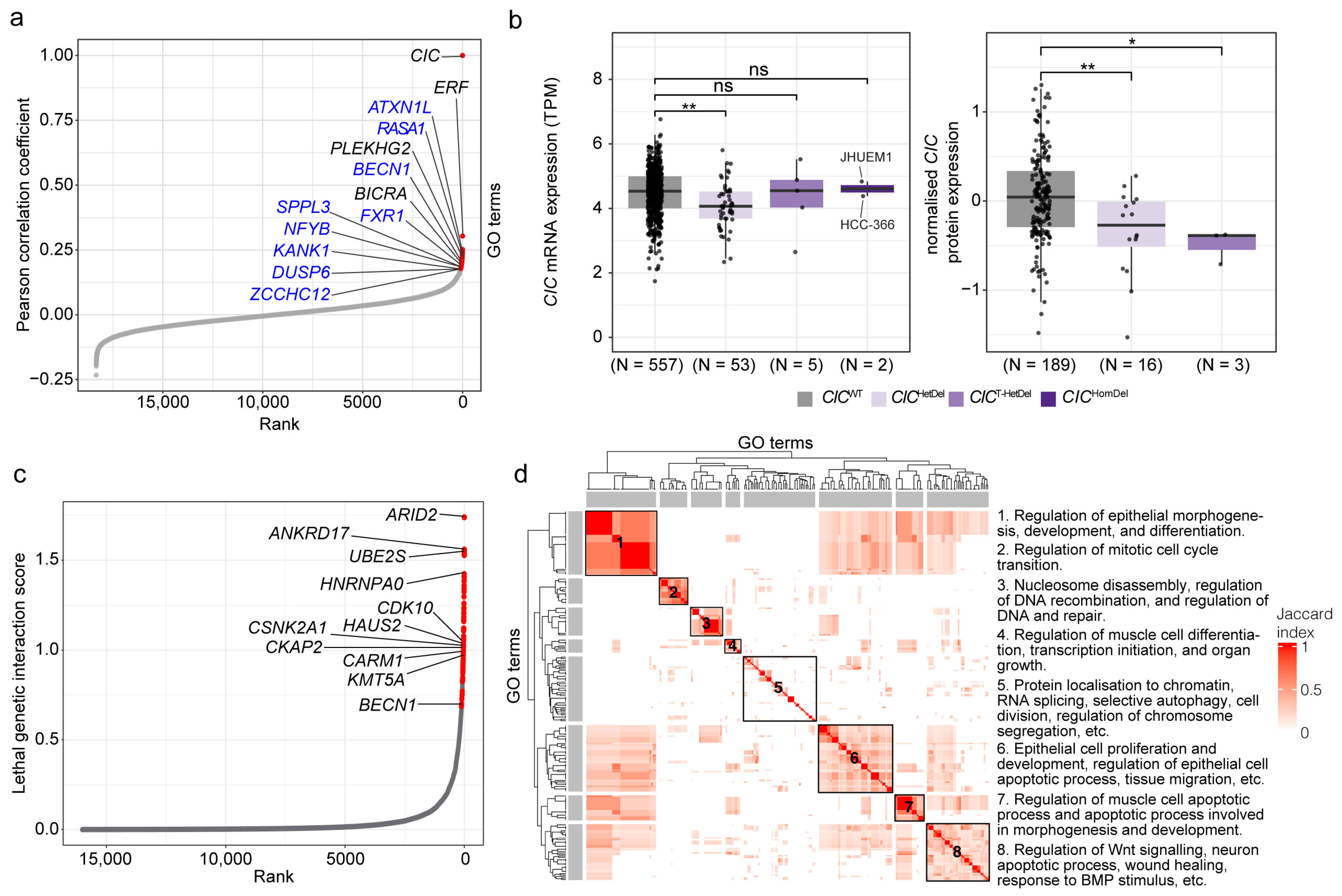 Cancers 15 02805 g001 Cancers 15 02805 g001
