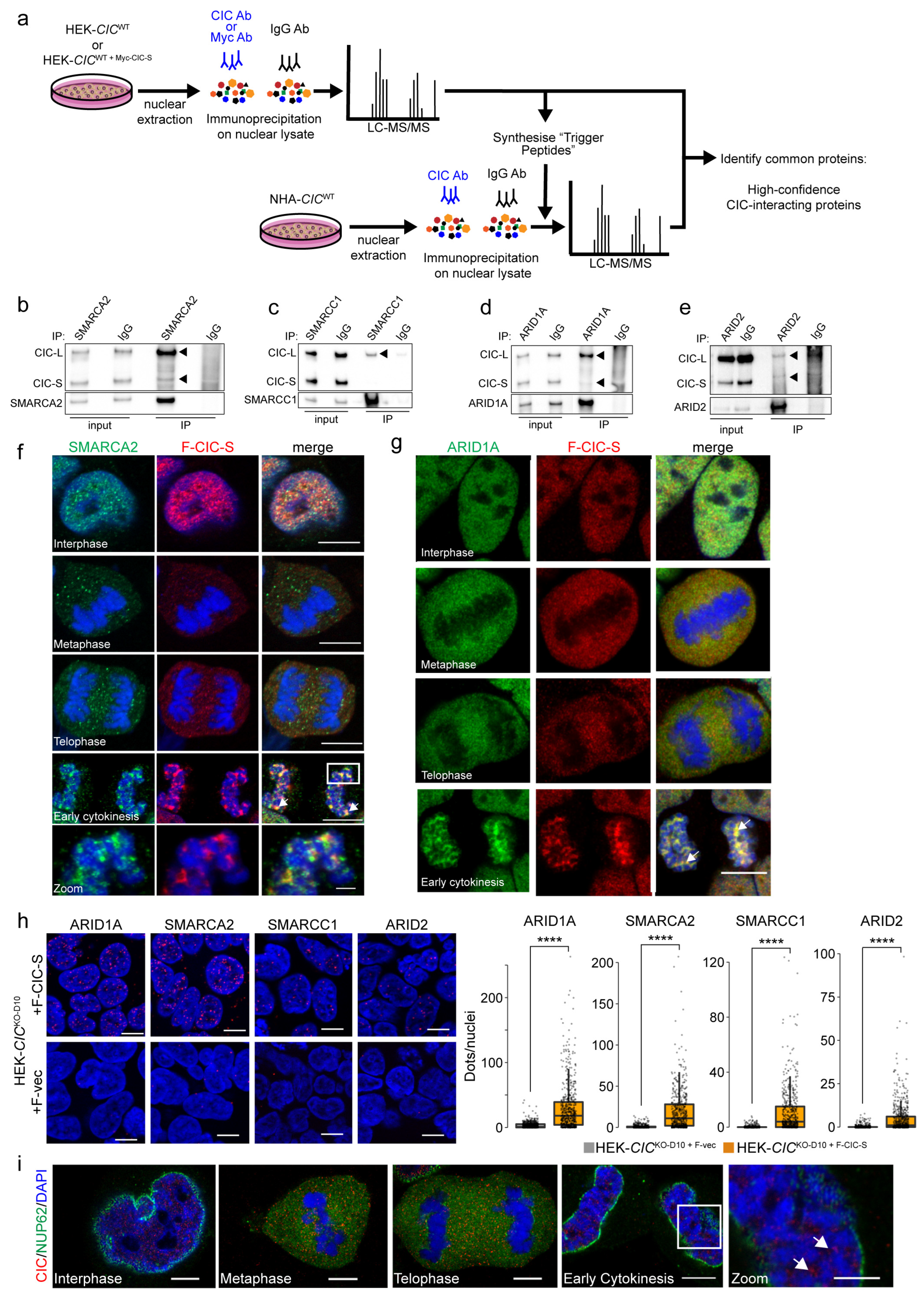 Cancers 15 02805 g002 Cancers 15 02805 g002