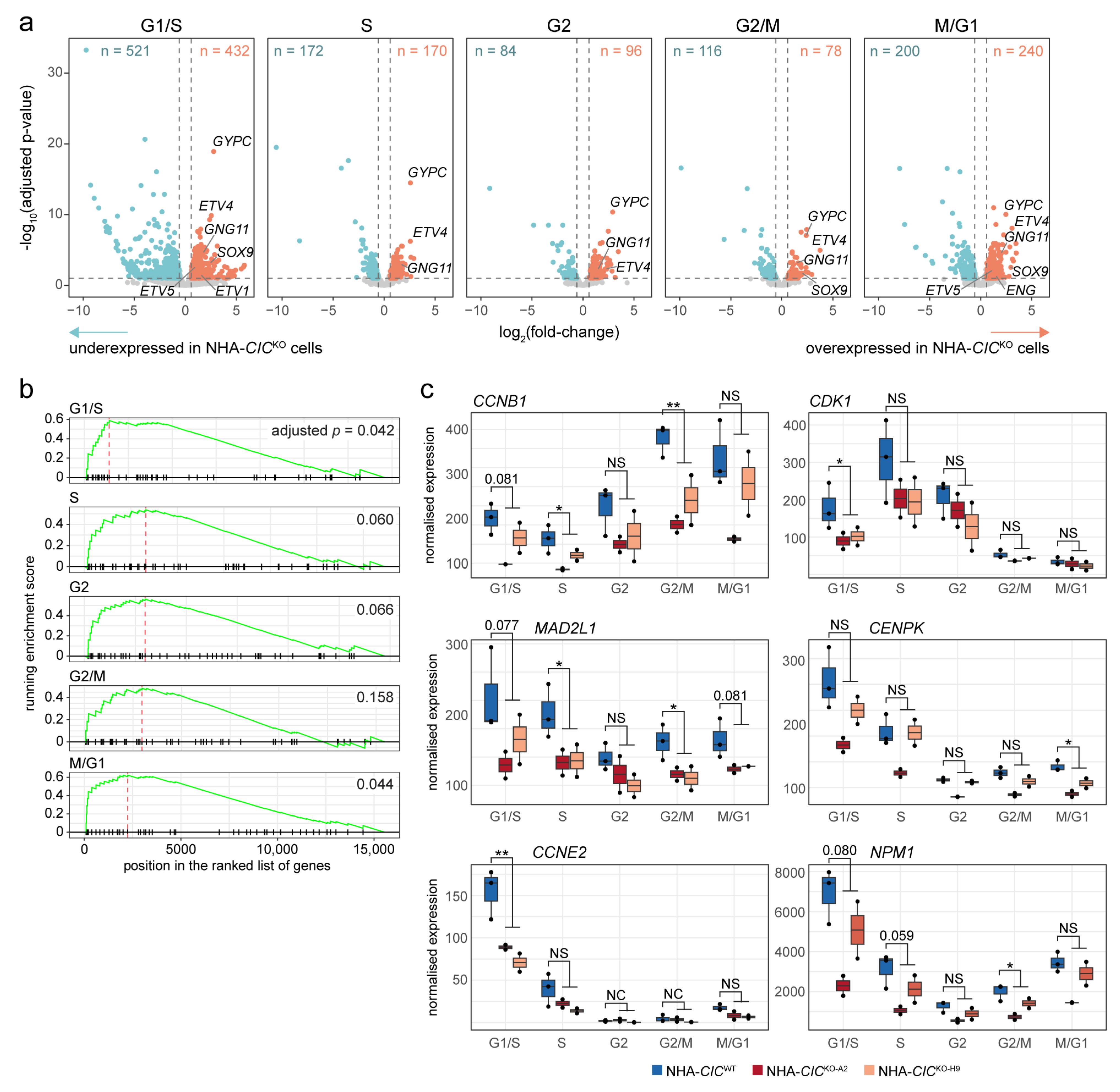Cancers 15 02805 g004 Cancers 15 02805 g004