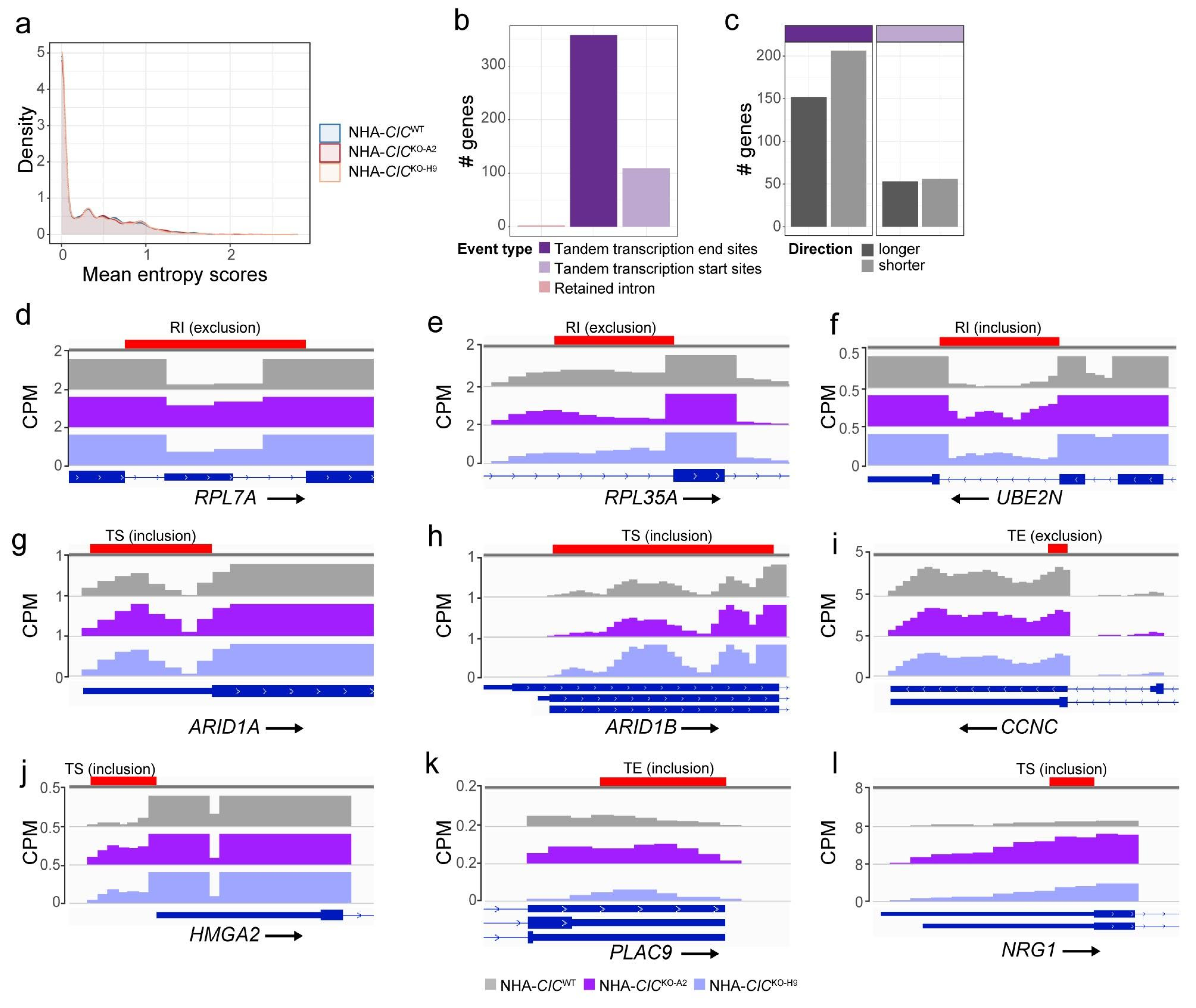 Cancers 15 02805 g005 Cancers 15 02805 g005